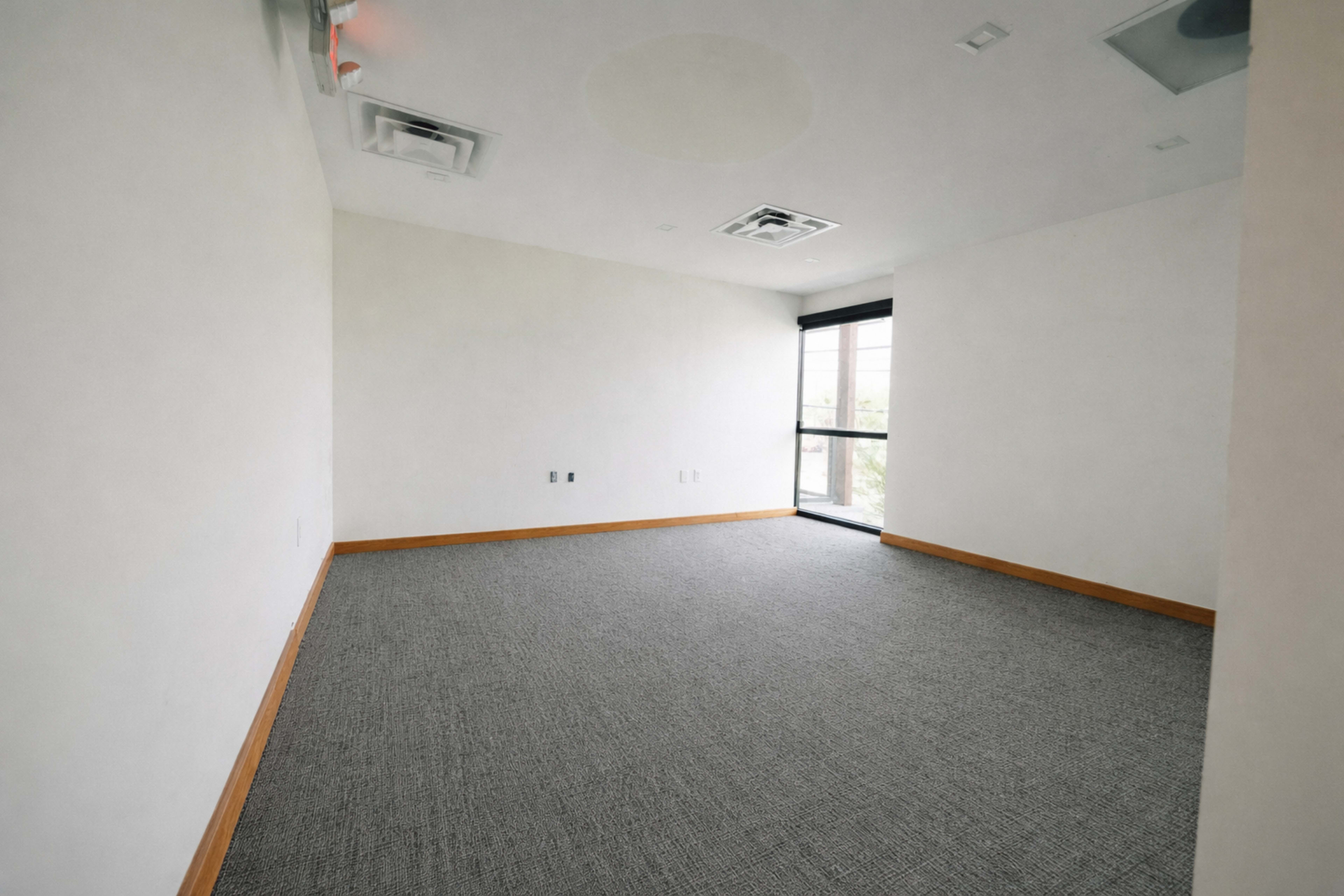 The image shows an empty room with gray carpet, white walls, and a large window letting in natural light.