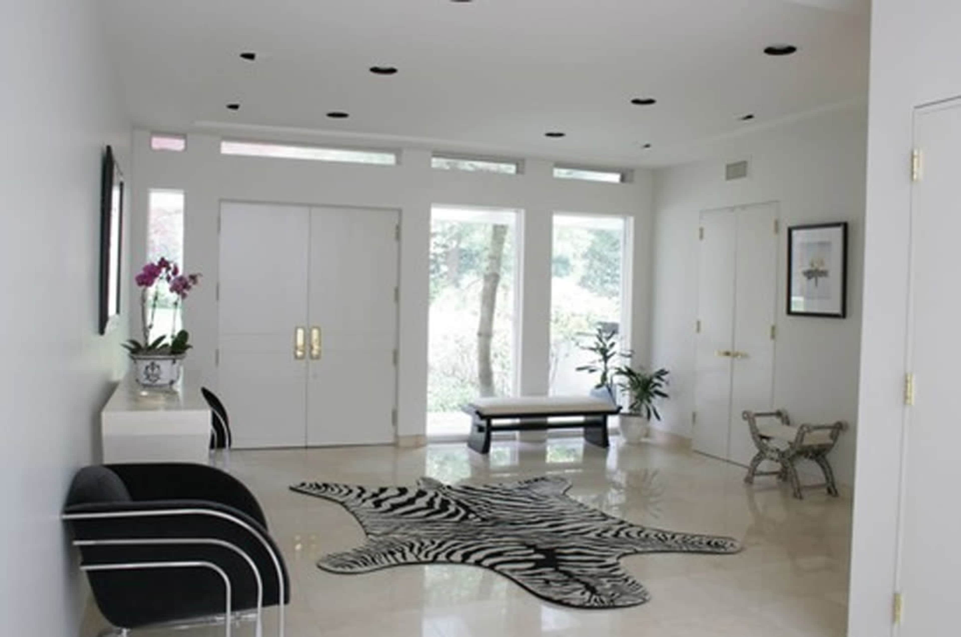 The image shows a minimalist foyer with large double doors, a zebra-patterned rug, and contemporary furniture, illuminated by natural light from large windows.
