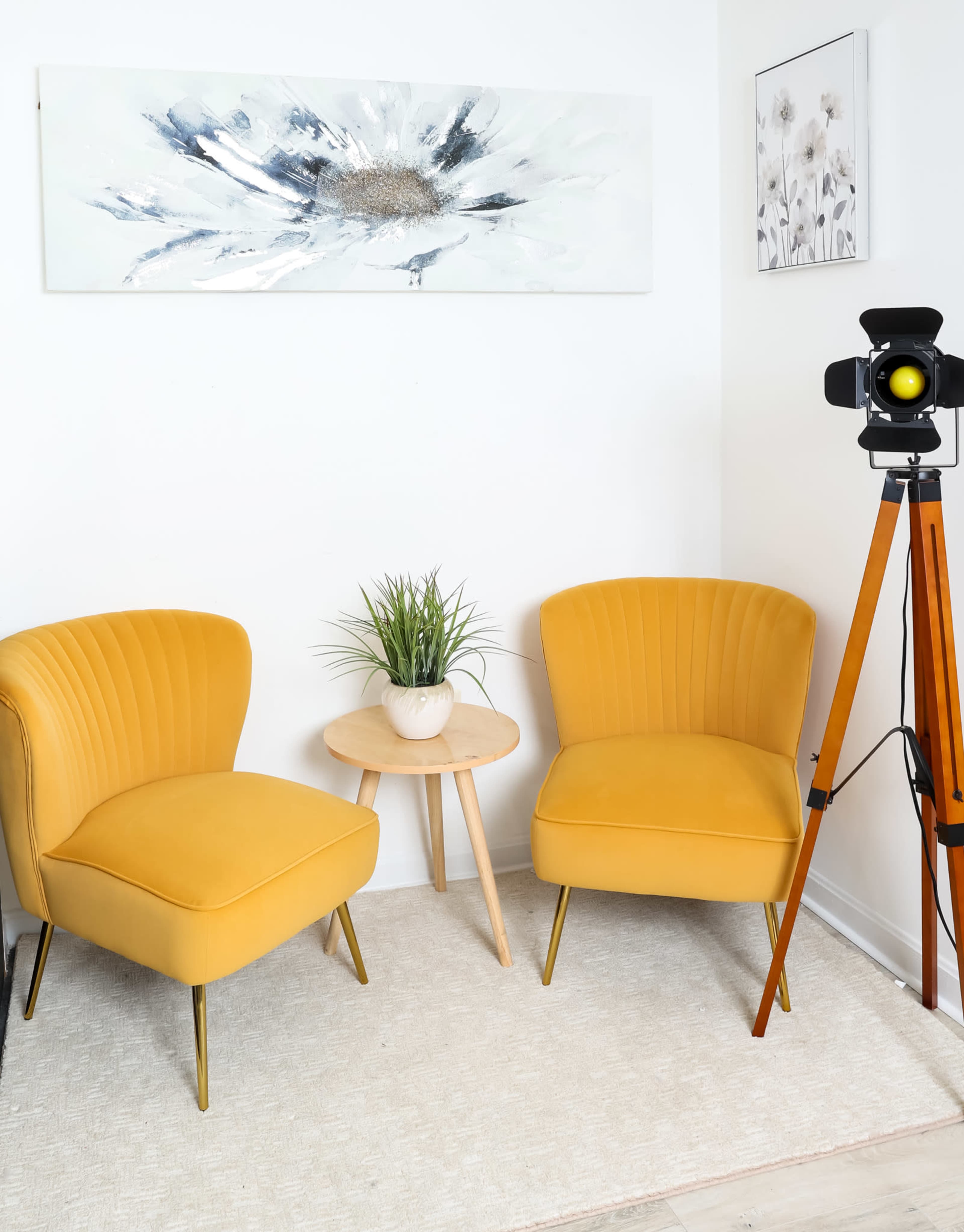 Geegraphy Photography Studio in Upper Marlboro Image in Largo, Upper Marlboro, MD