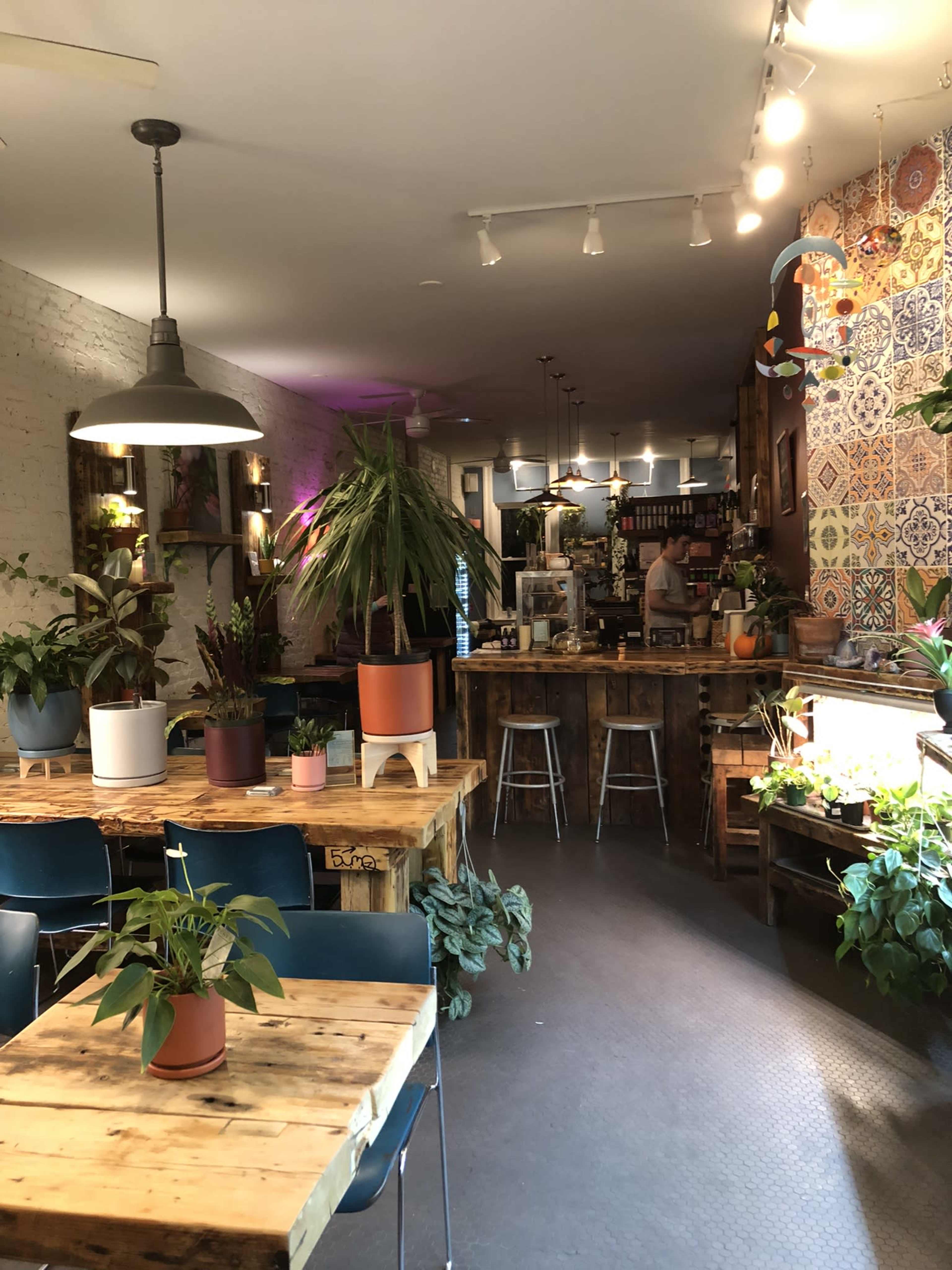 Cozy Brooklyn Cafe. Studded with Plants. Image in Carroll Gardens, Brooklyn, NY