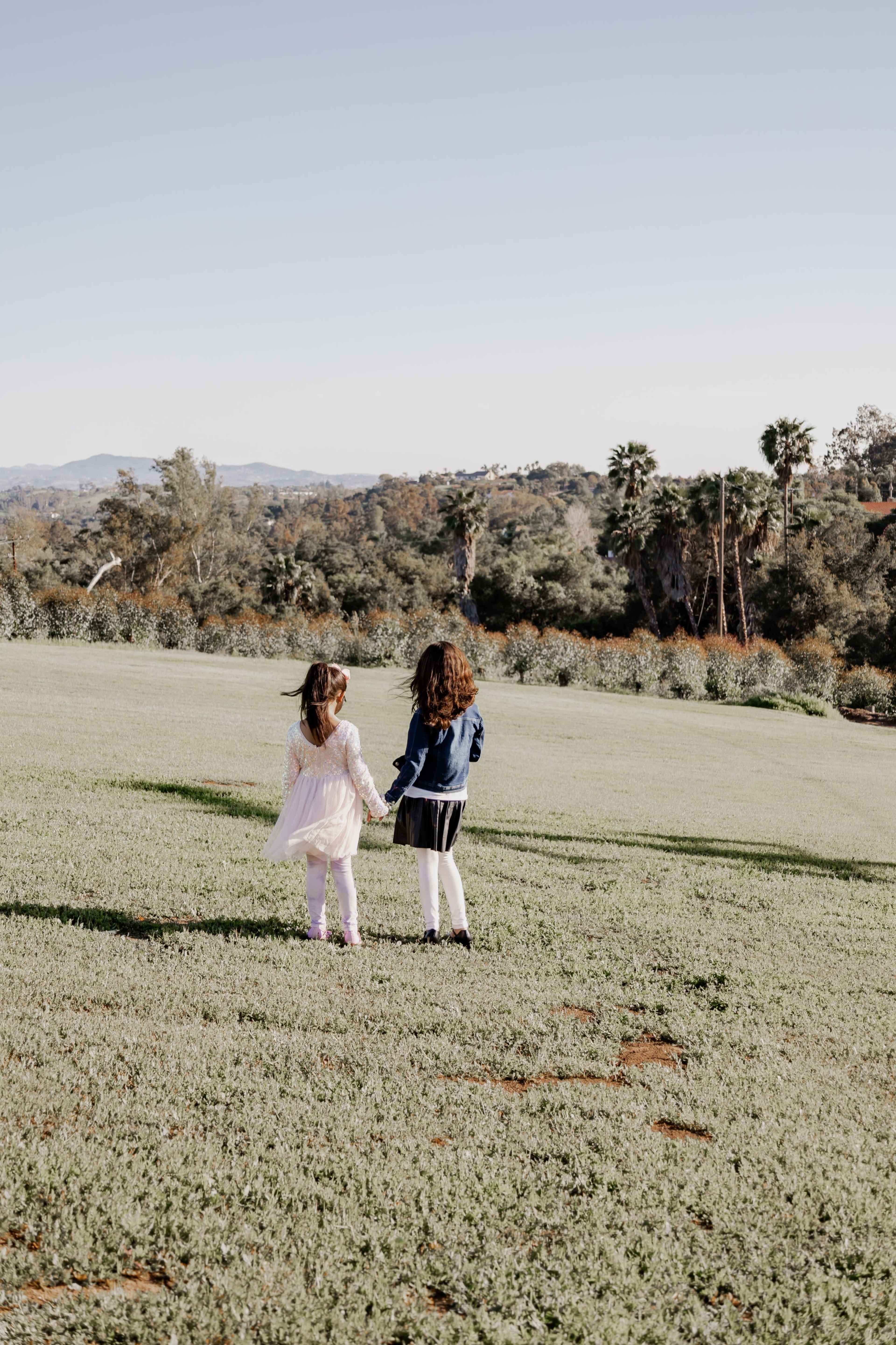 Two children hold hands while standing on a grassy hill, looking at a landscape with distant trees and mountains.