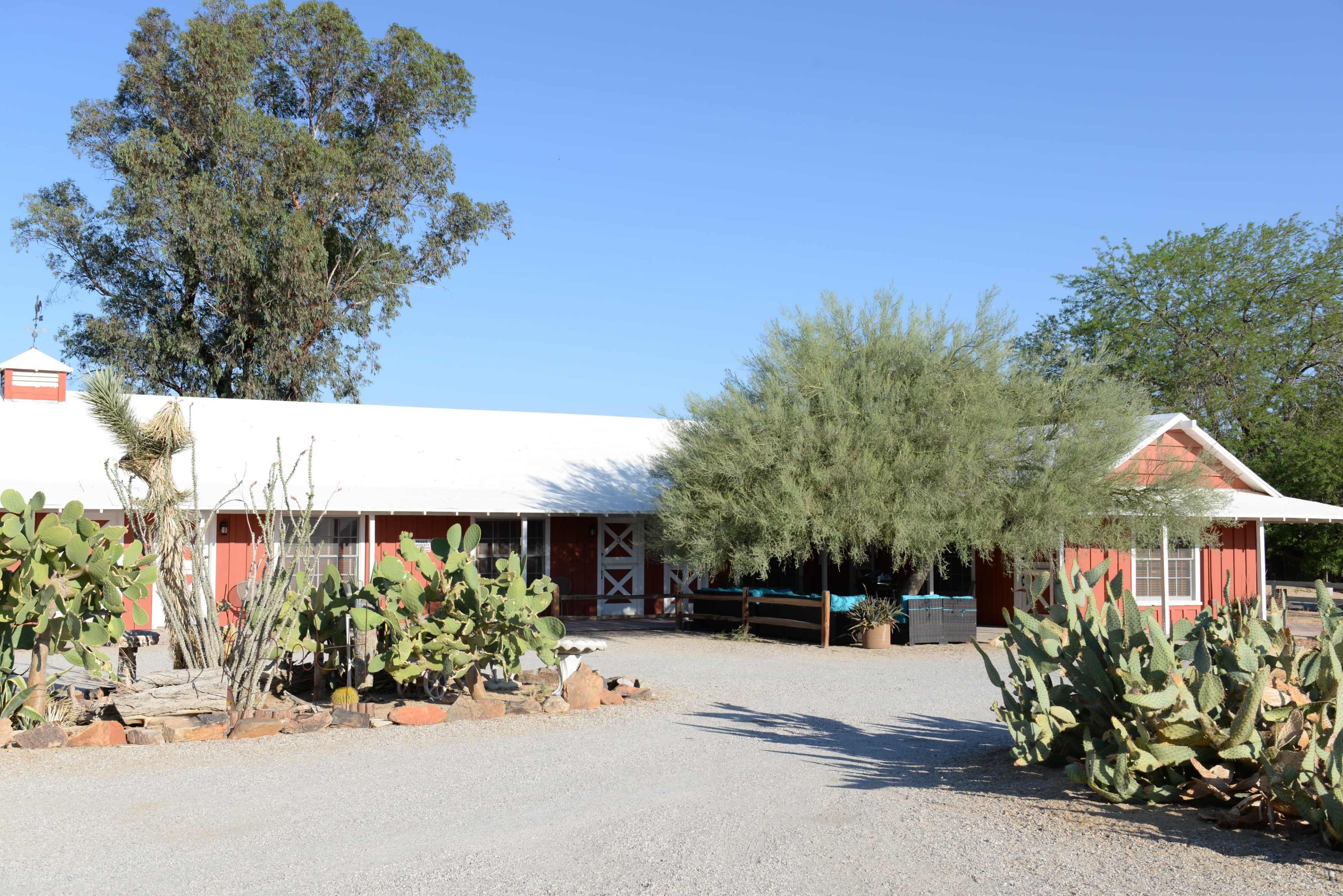 A red barn-style building with a white roof is surrounded by cacti and trees in a clear blue sky.