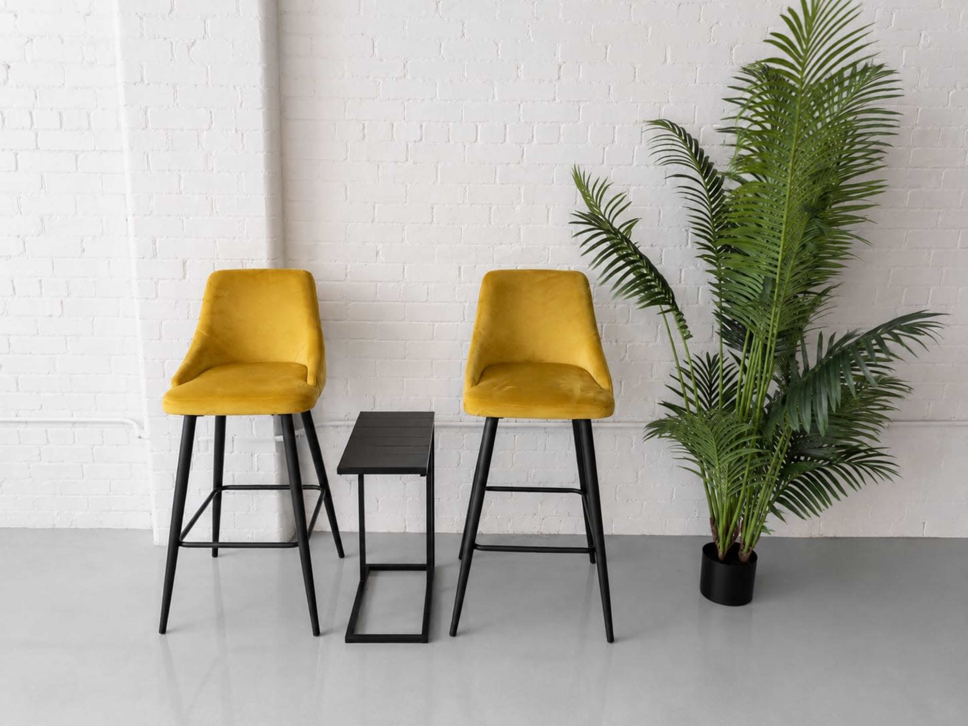 The image features two yellow bar chairs positioned beside a small black table, with a large green potted plant in the foreground against a white wall.