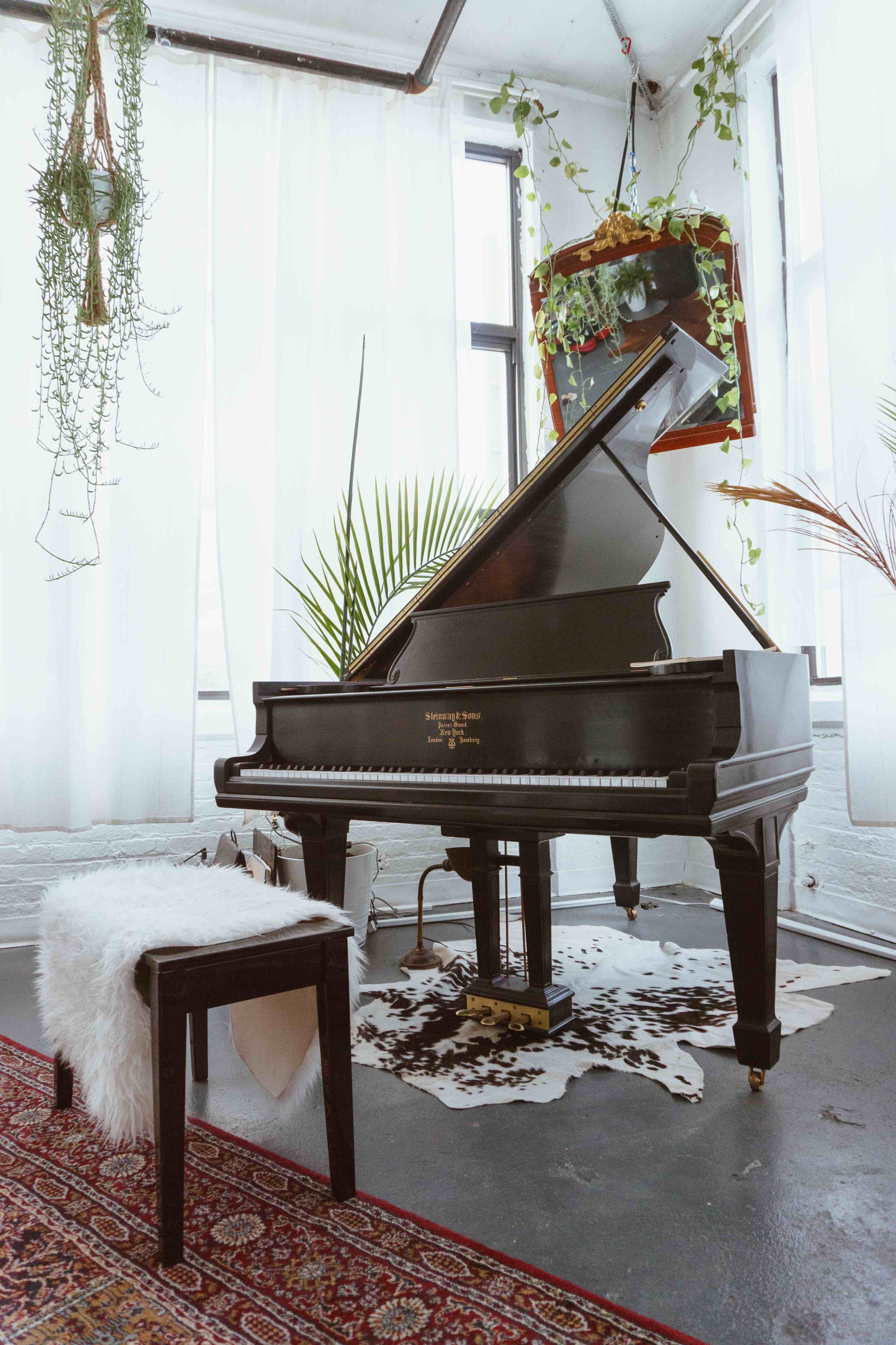 A grand piano sits next to a stool on a patterned rug, surrounded by plants in a brightly lit room with large windows.