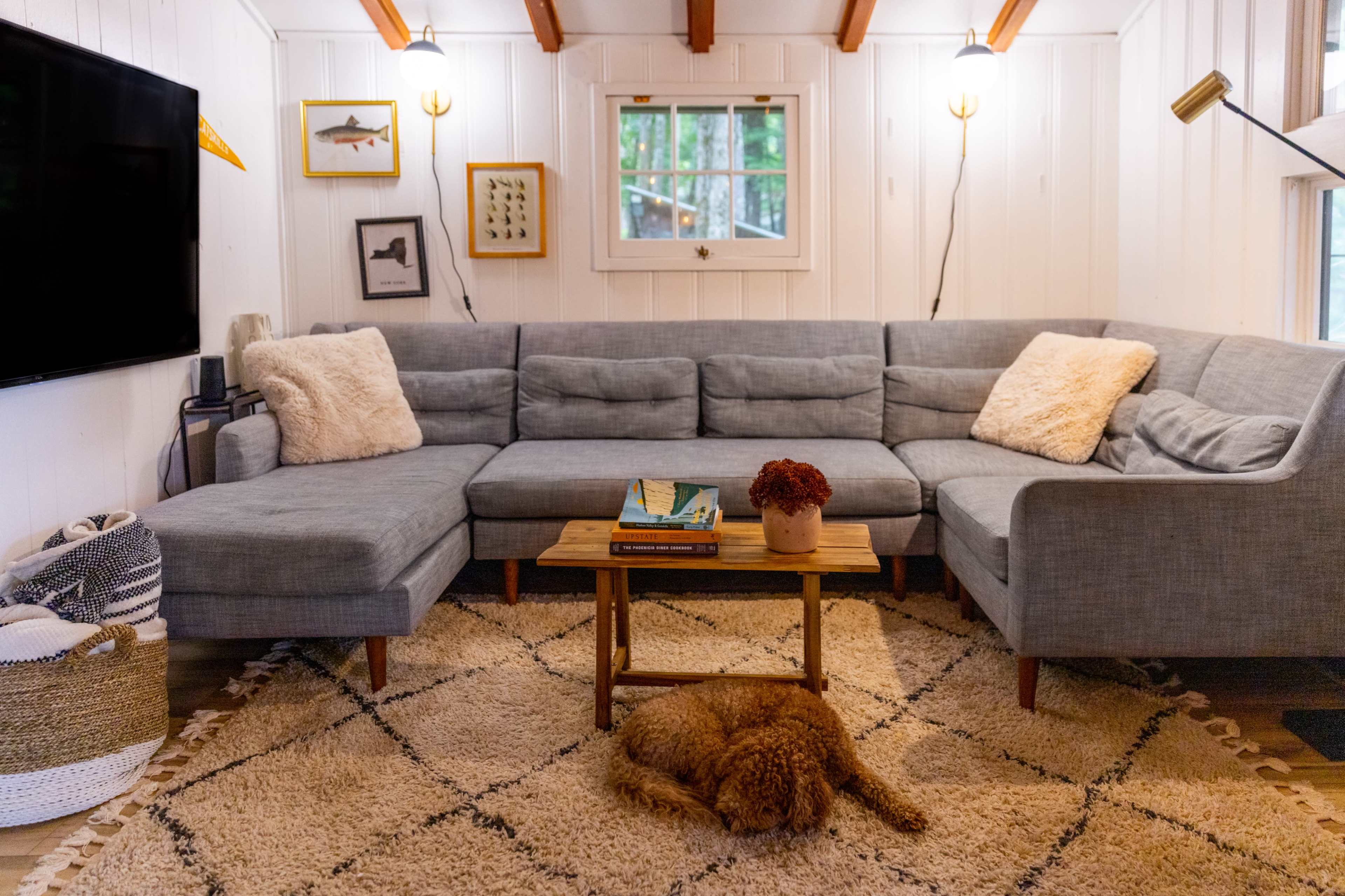 A cozy living room features a gray sectional sofa, a wooden coffee table with books and a plant, a decorative rug, and a dog lying on the floor.