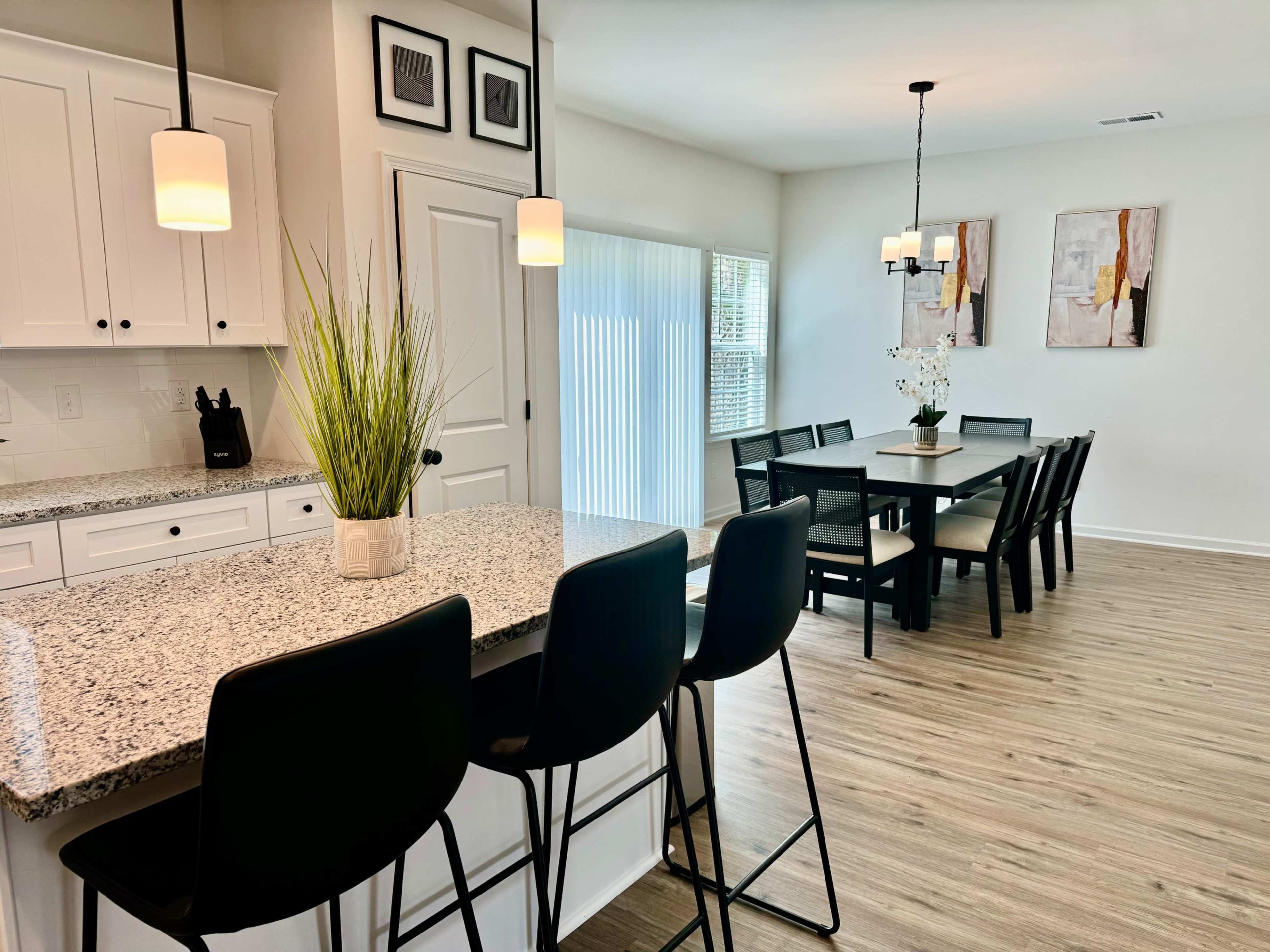 Stylish Modern Home with Open Layout & Stunning Natural Light Image in Toddville Road, Charlotte, NC