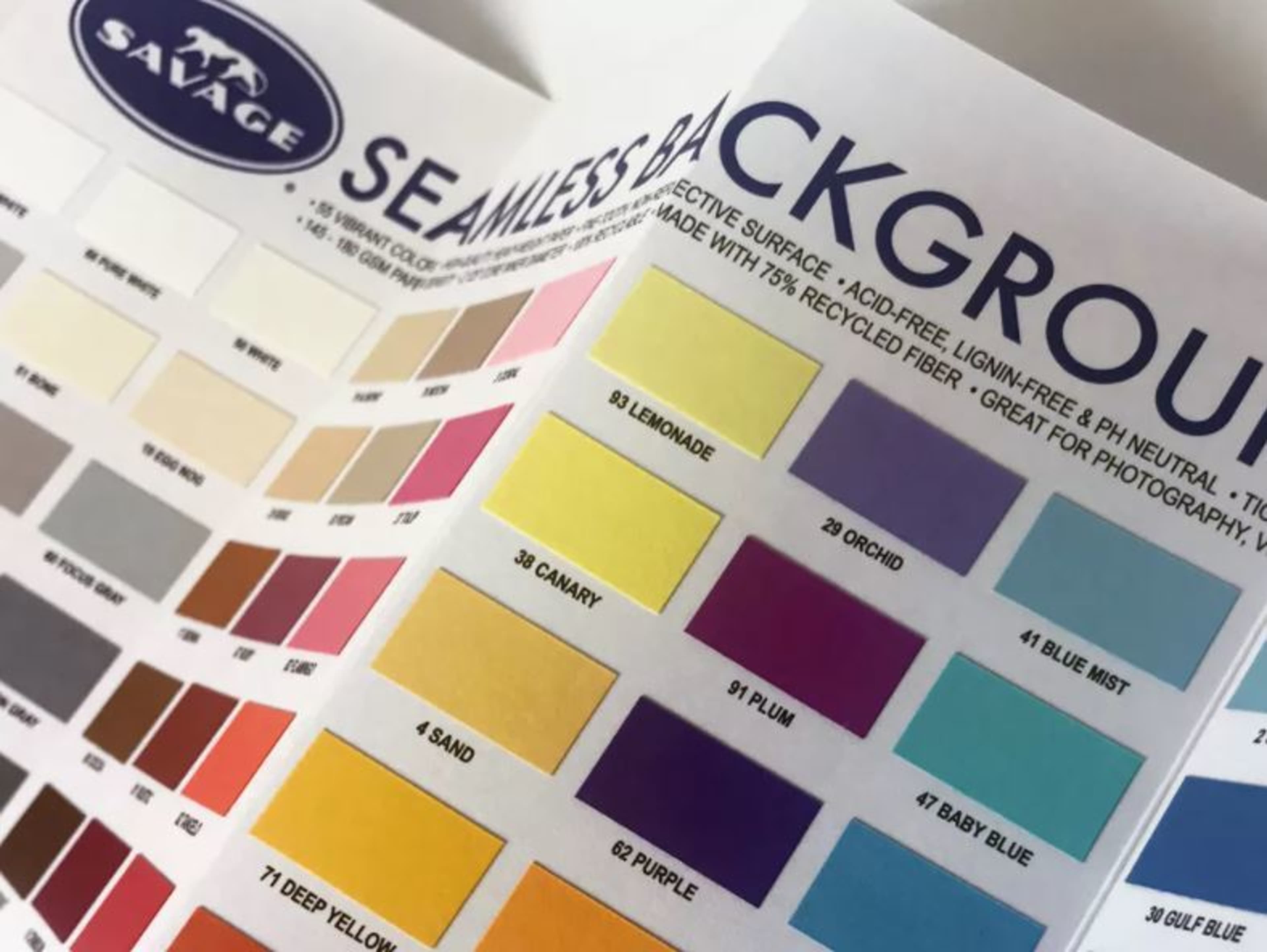 Seamless Backdrop Special Order