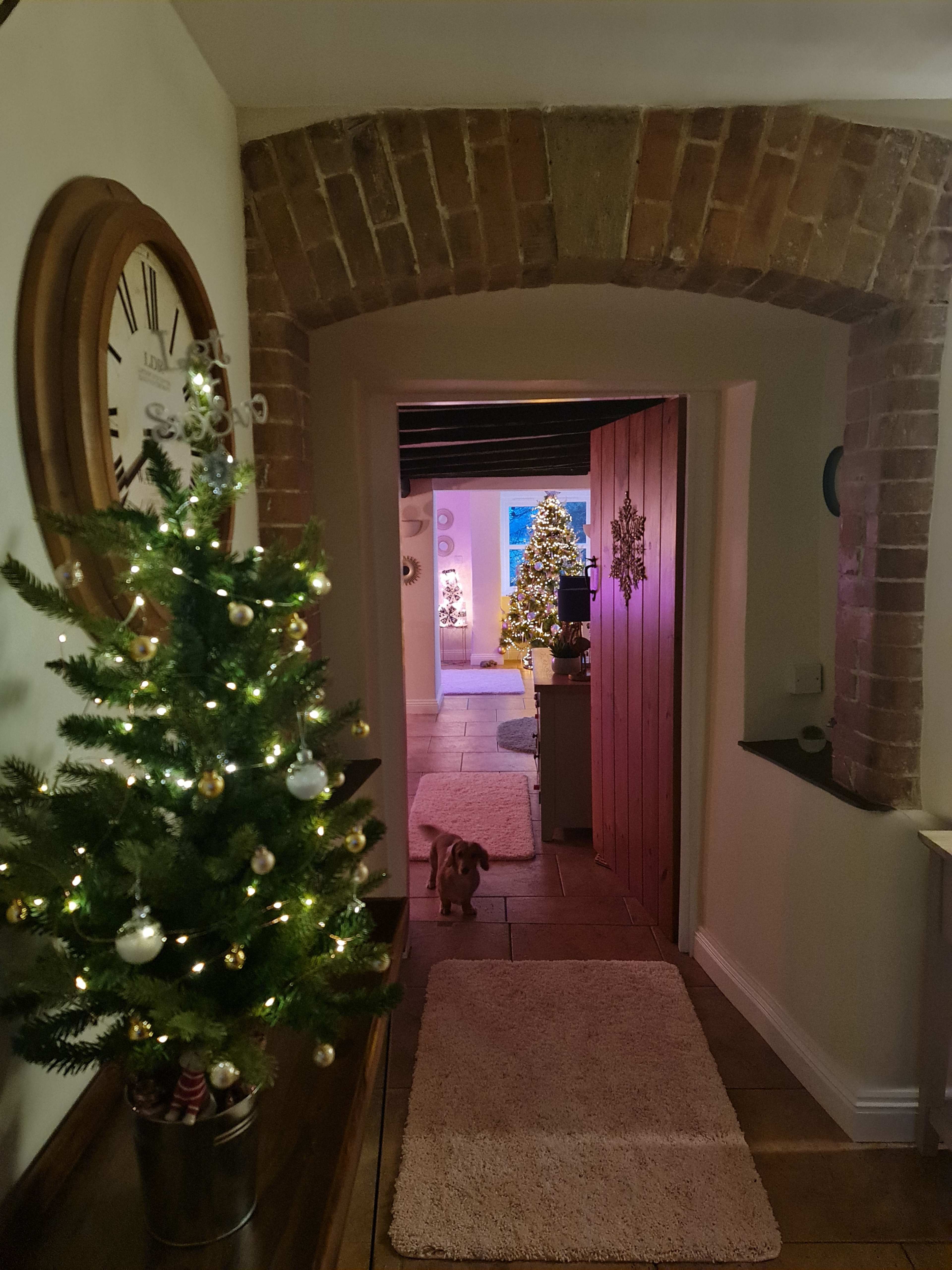 A narrow hallway features a decorated Christmas tree on one side, leading to a room with another large tree and soft lighting.