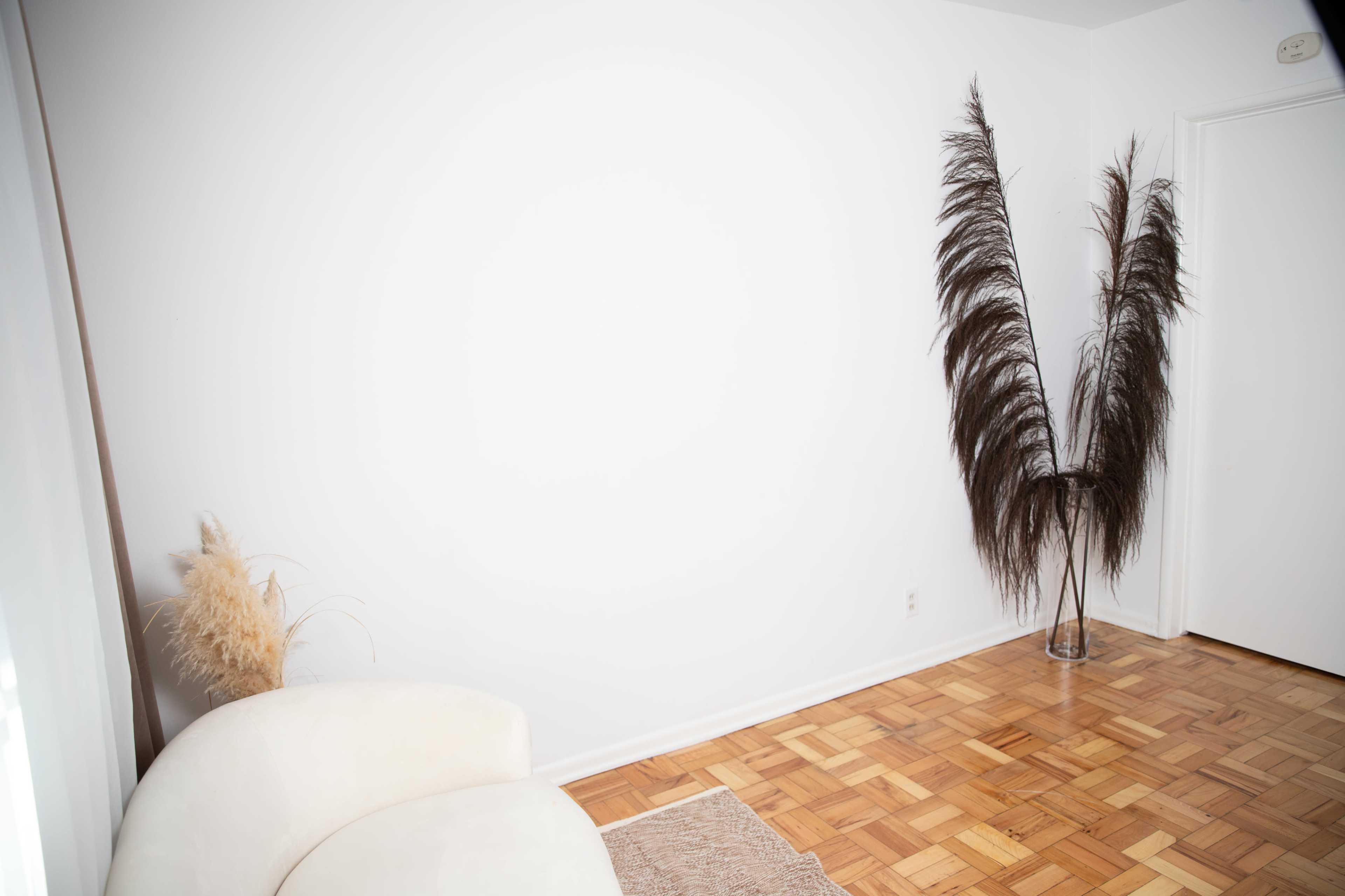 A tan couch is positioned in a bright room with wooden flooring and a tall, decorative plant in the corner.