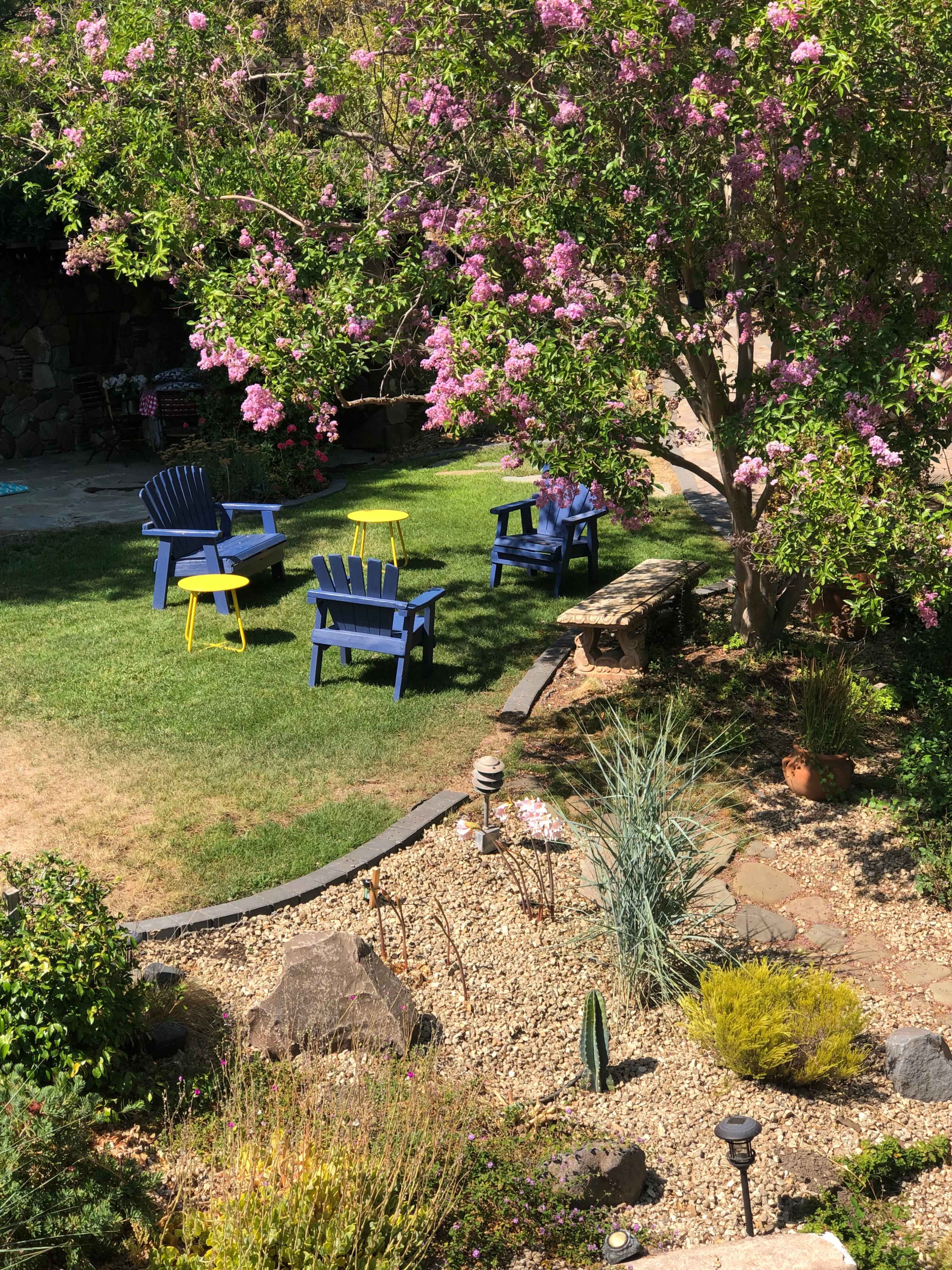 A garden with purple flowering trees, green grass, and blue and yellow chairs arranged around a stone path.