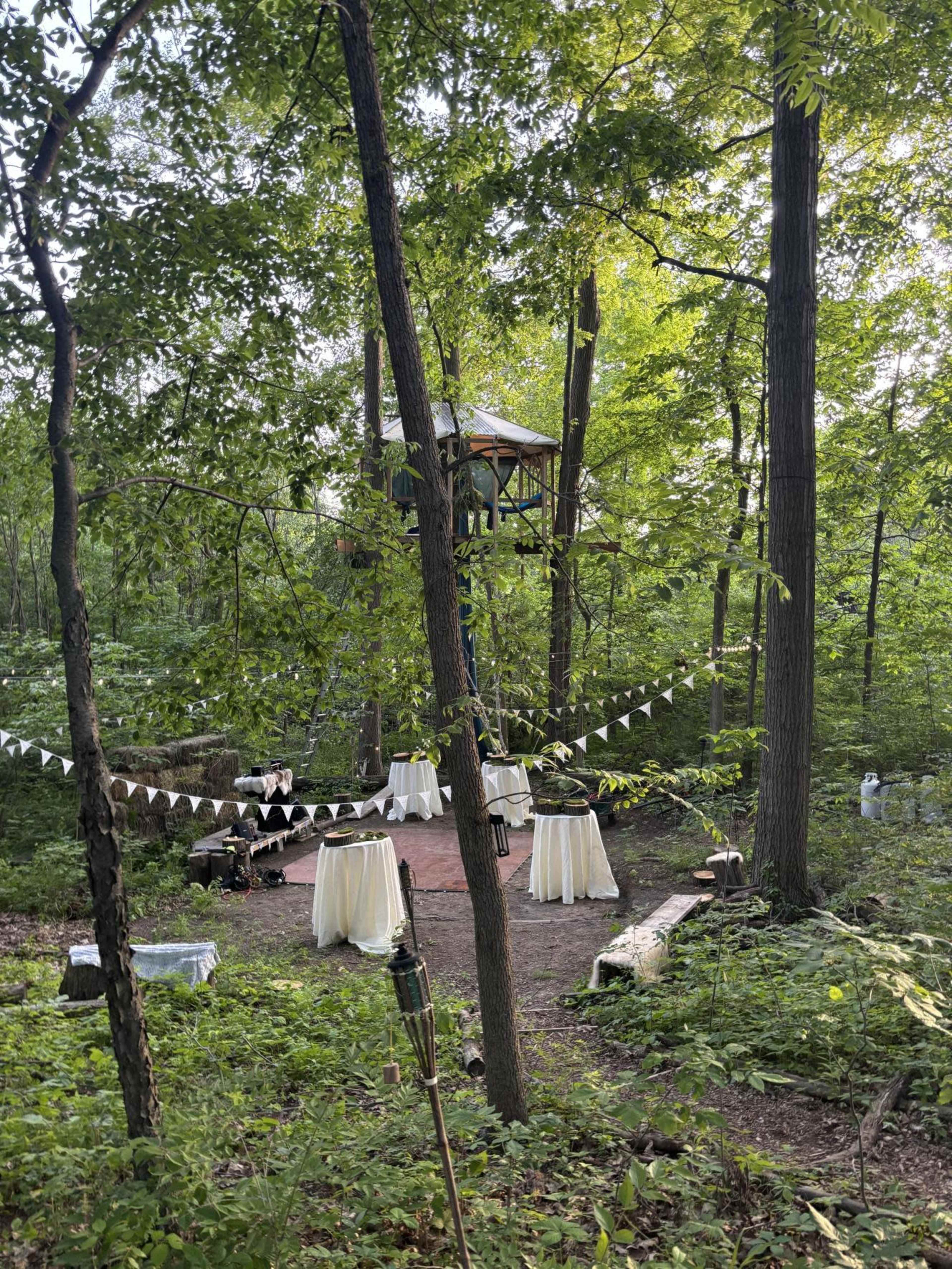 Enchanted Forest with Natural Pond Image in Salem Township, Ann Arbor, MI