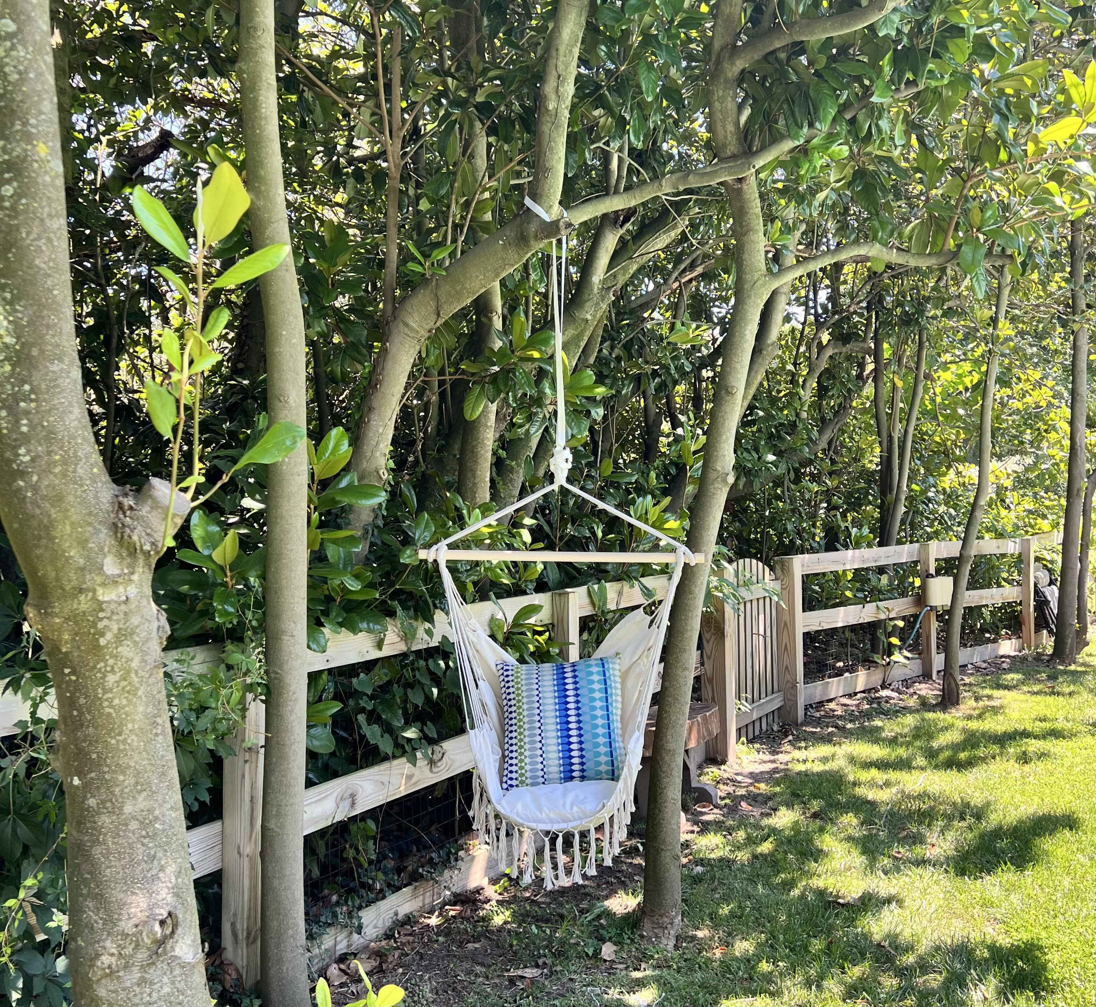 A hanging chair is suspended between two trees in a garden with green grass and a wooden fence.