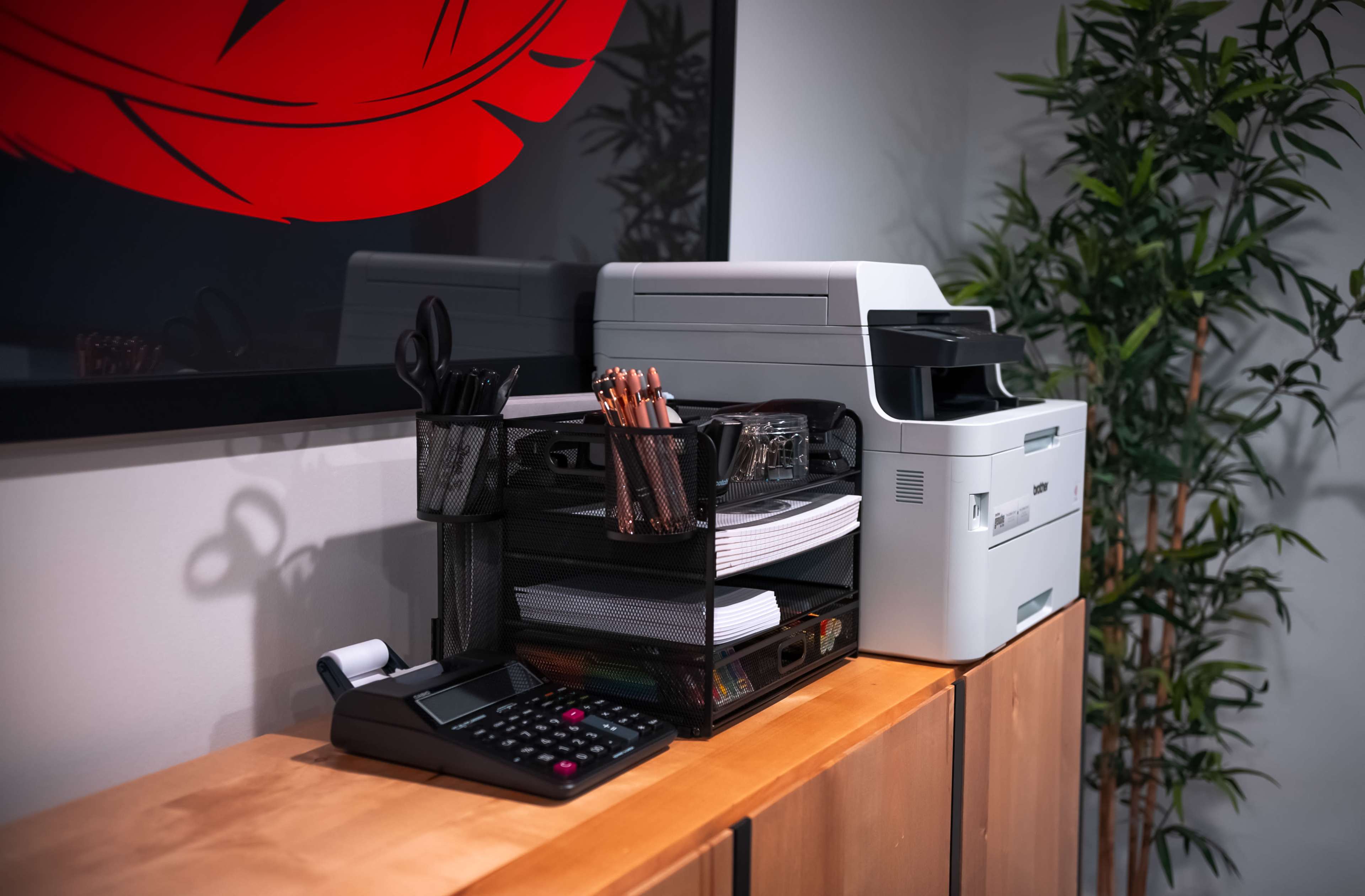 A printer and an office supplies organizer are placed on a wooden desk beside a plant and a large artwork.