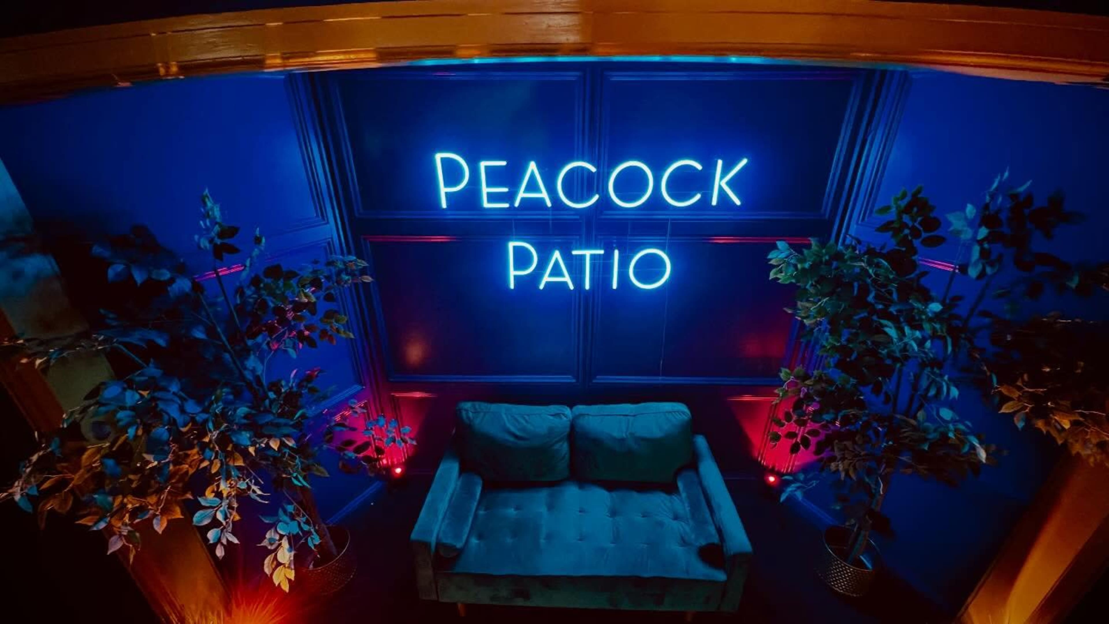 The image features a cozy seating area with a blue wall illuminated by a neon sign that reads "PEACOCK PATIO," accompanied by decorative plants on each side.