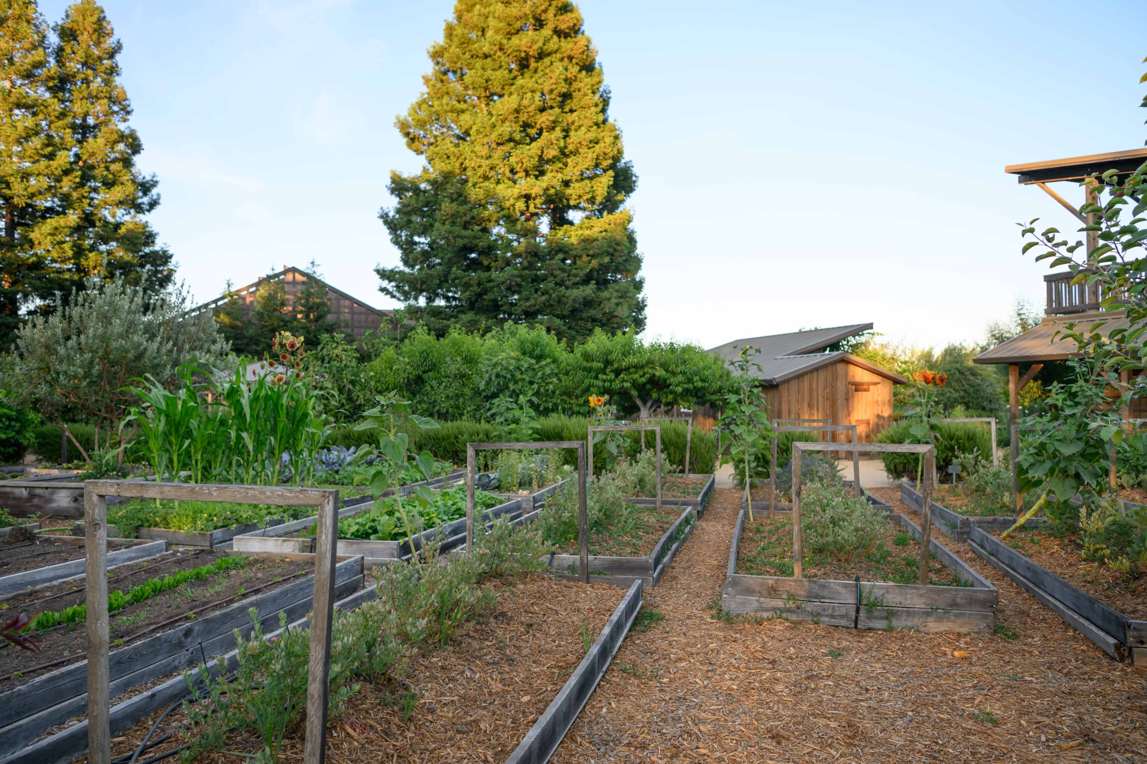 Organic Vineyard Estate in West Dry Creek Valley Image in , Healdsburg, CA