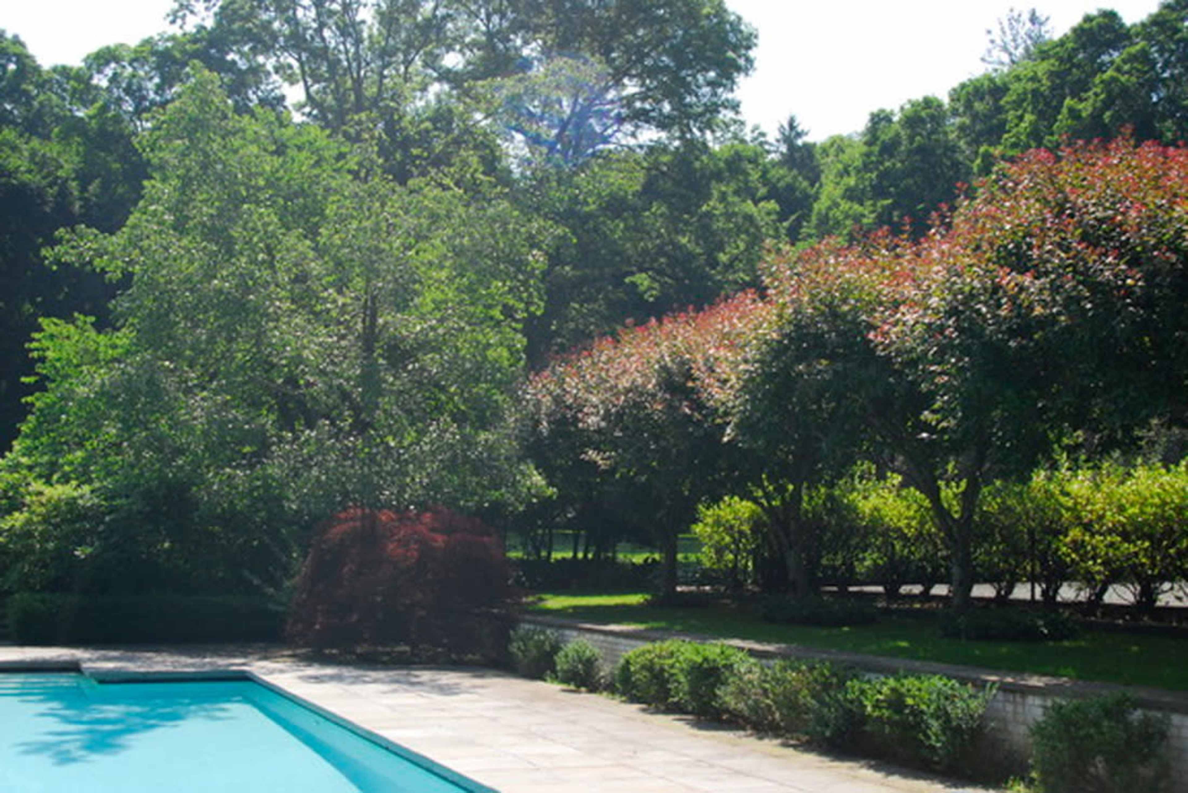 A swimming pool is surrounded by landscaped gardens featuring trees and colorful foliage.