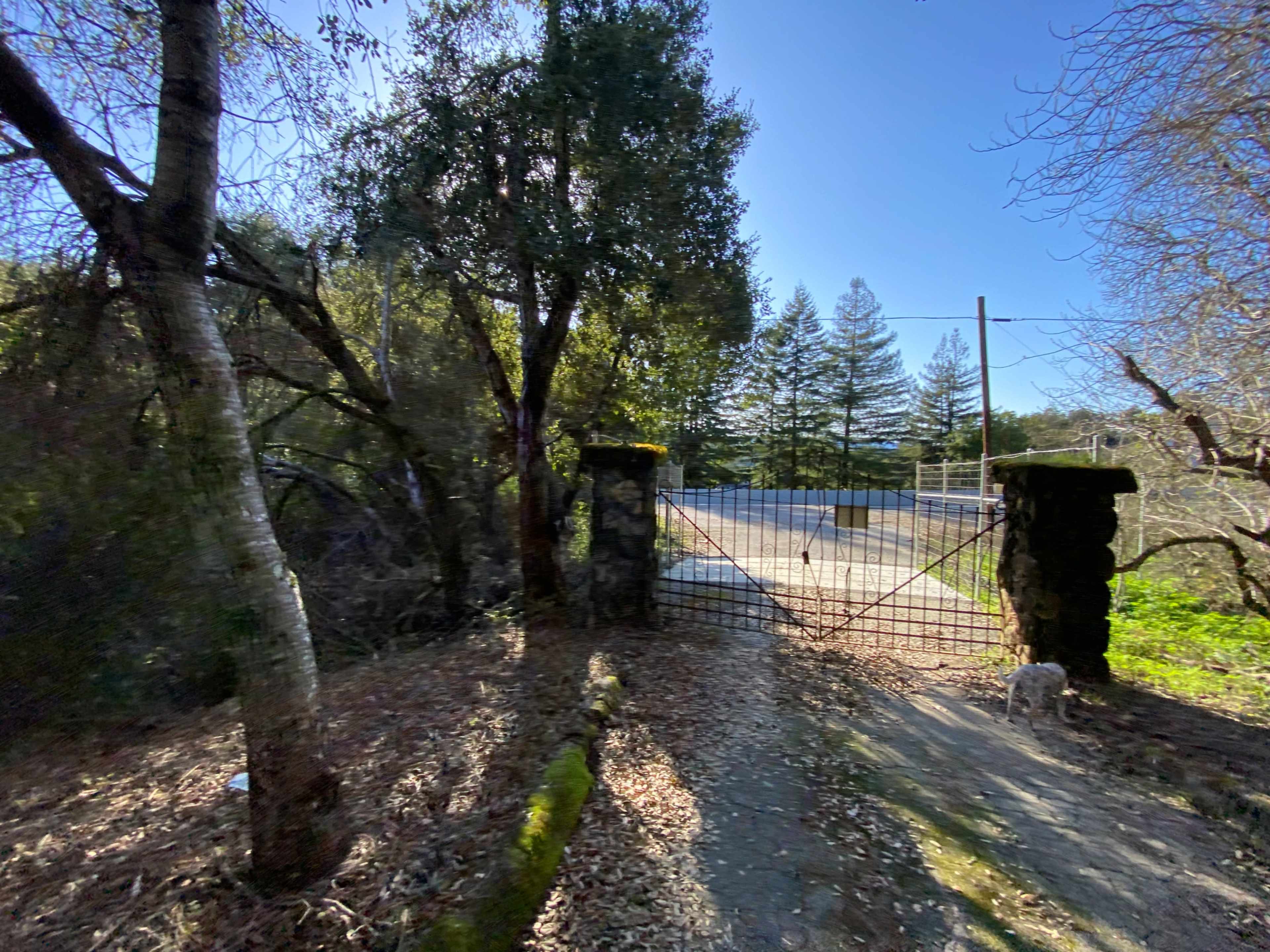 An iron gate stands open at the entrance of a gravel path leading to a tree-lined road.