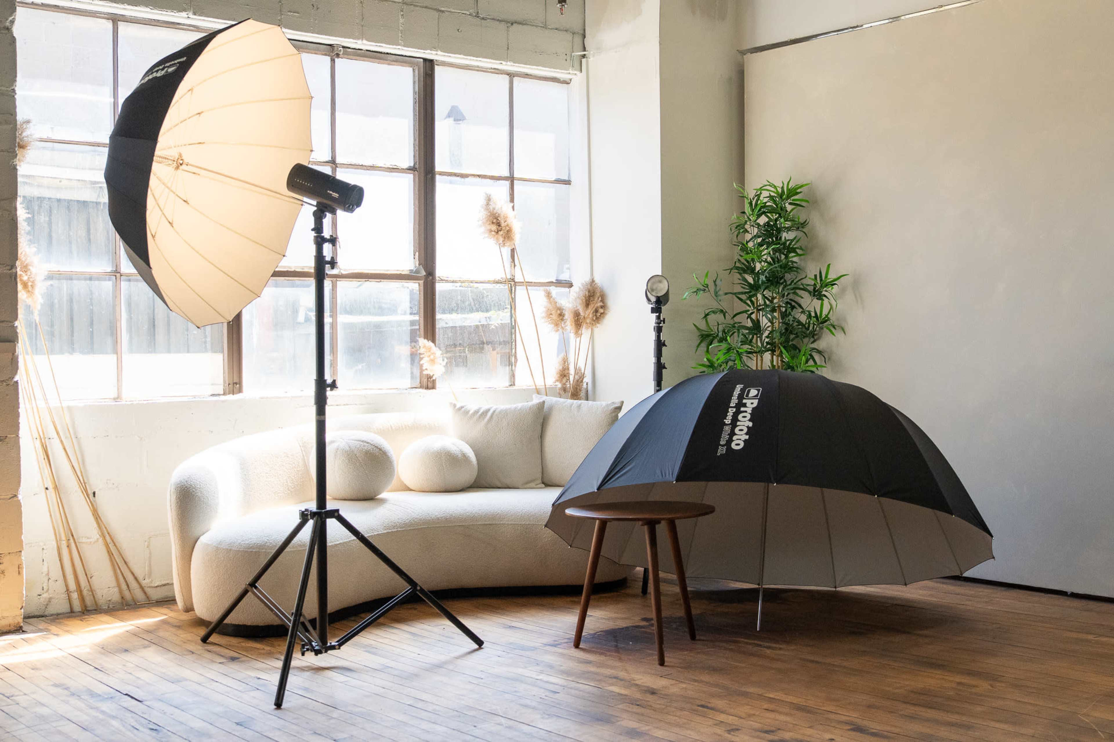 The image shows a well-lit interior space featuring a white, curved sofa, a round wooden table, and a large light umbrella positioned on a stand, with decorative plants in the background.