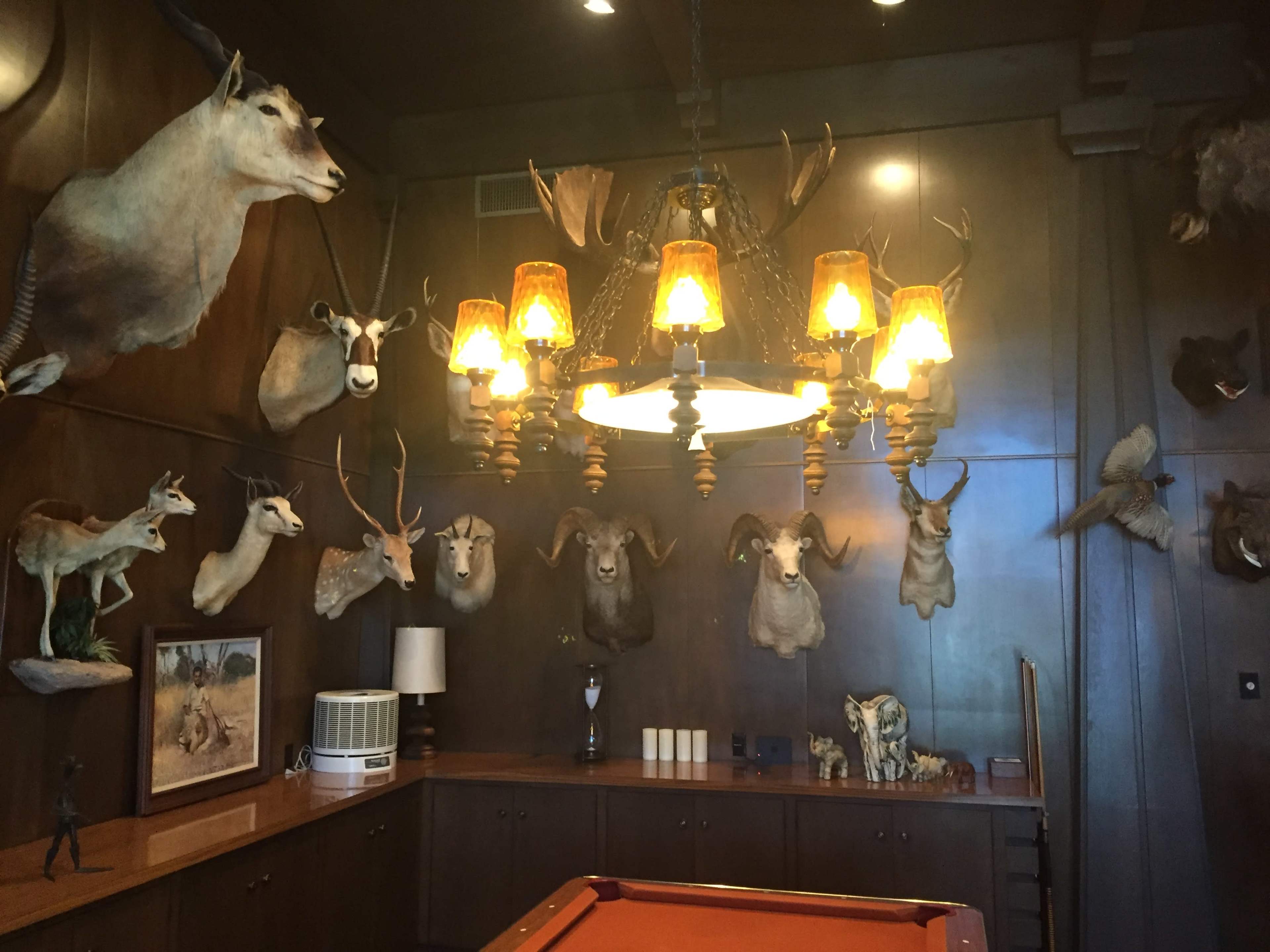 The room features a chandelier, a pool table, and numerous mounted animal heads on the wooden walls.