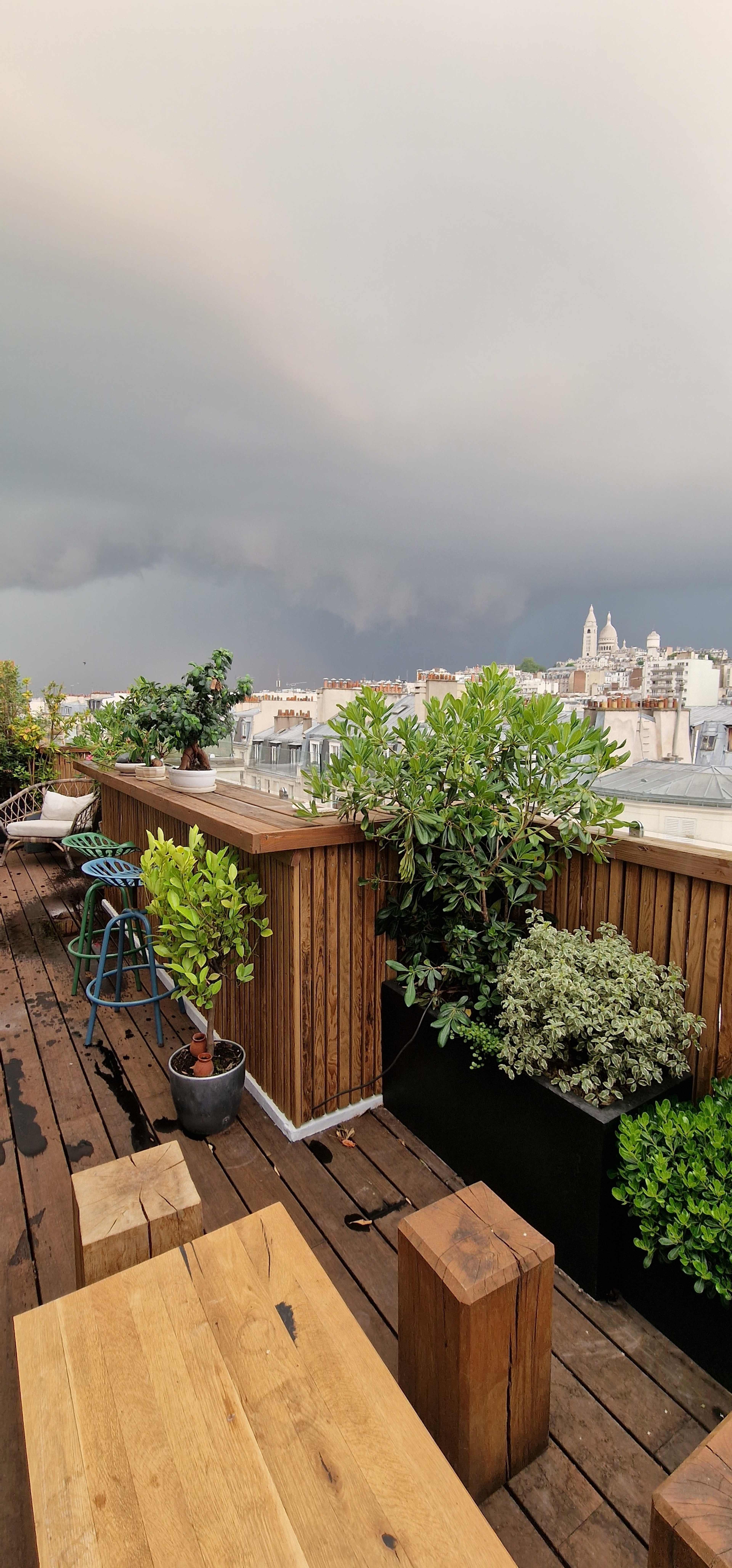 A rooftop terrace with wooden flooring, potted plants, and a view of a cloudy skyline.
