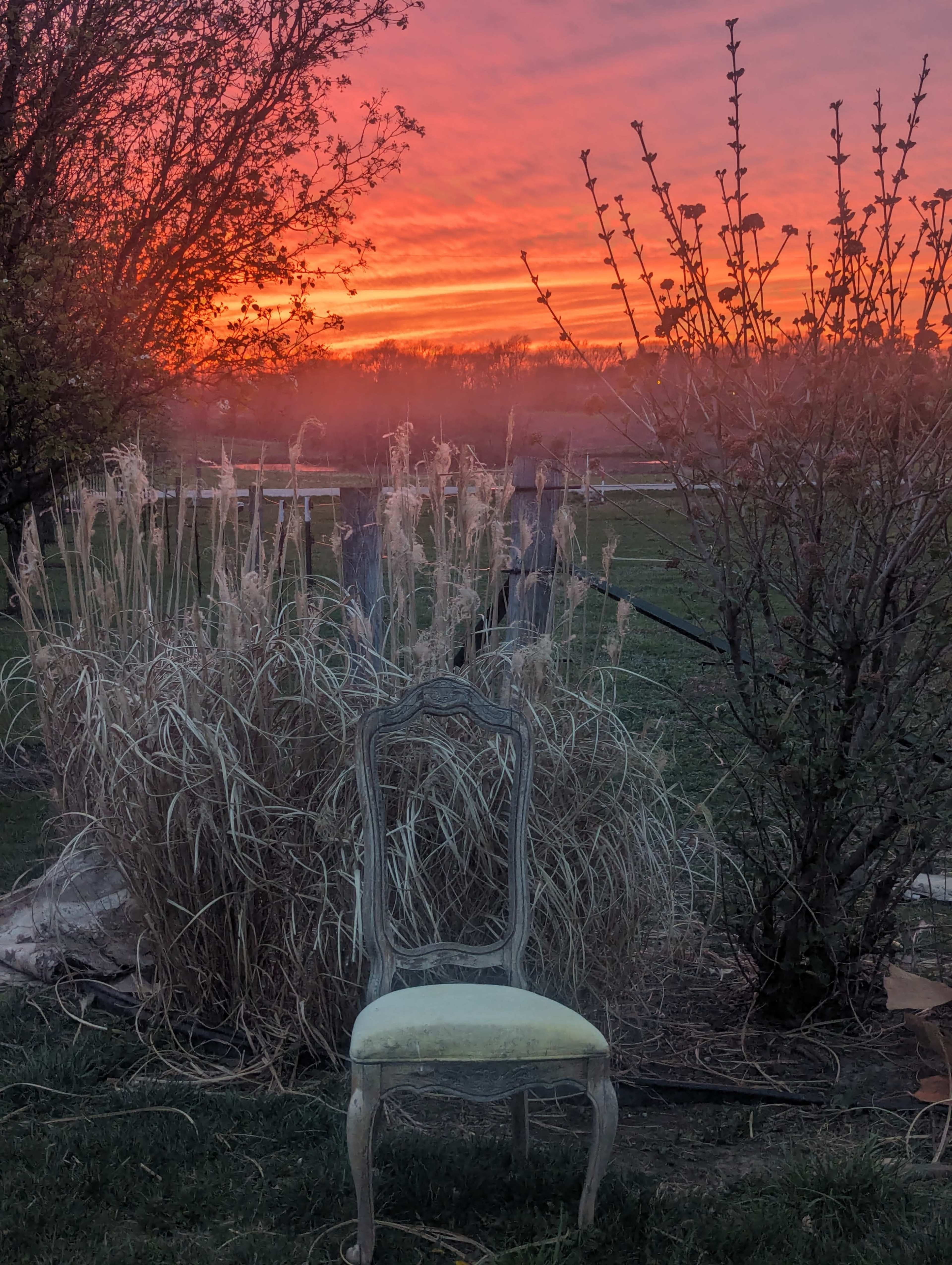 A vintage chair sits in a field surrounded by tall grasses and bushes, with a colorful sunset in the background.