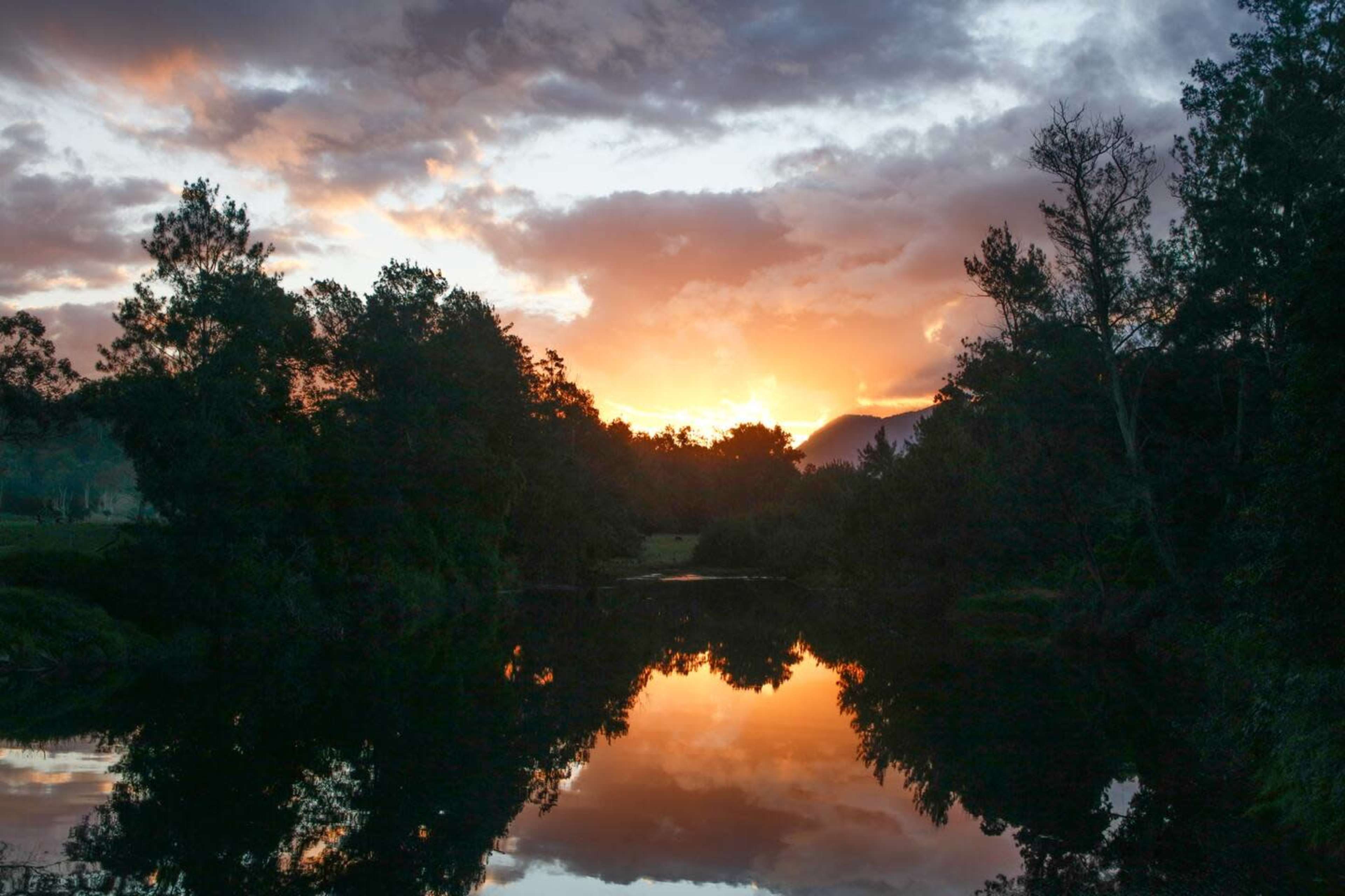 The image shows a sunset reflected in a calm body of water surrounded by trees.