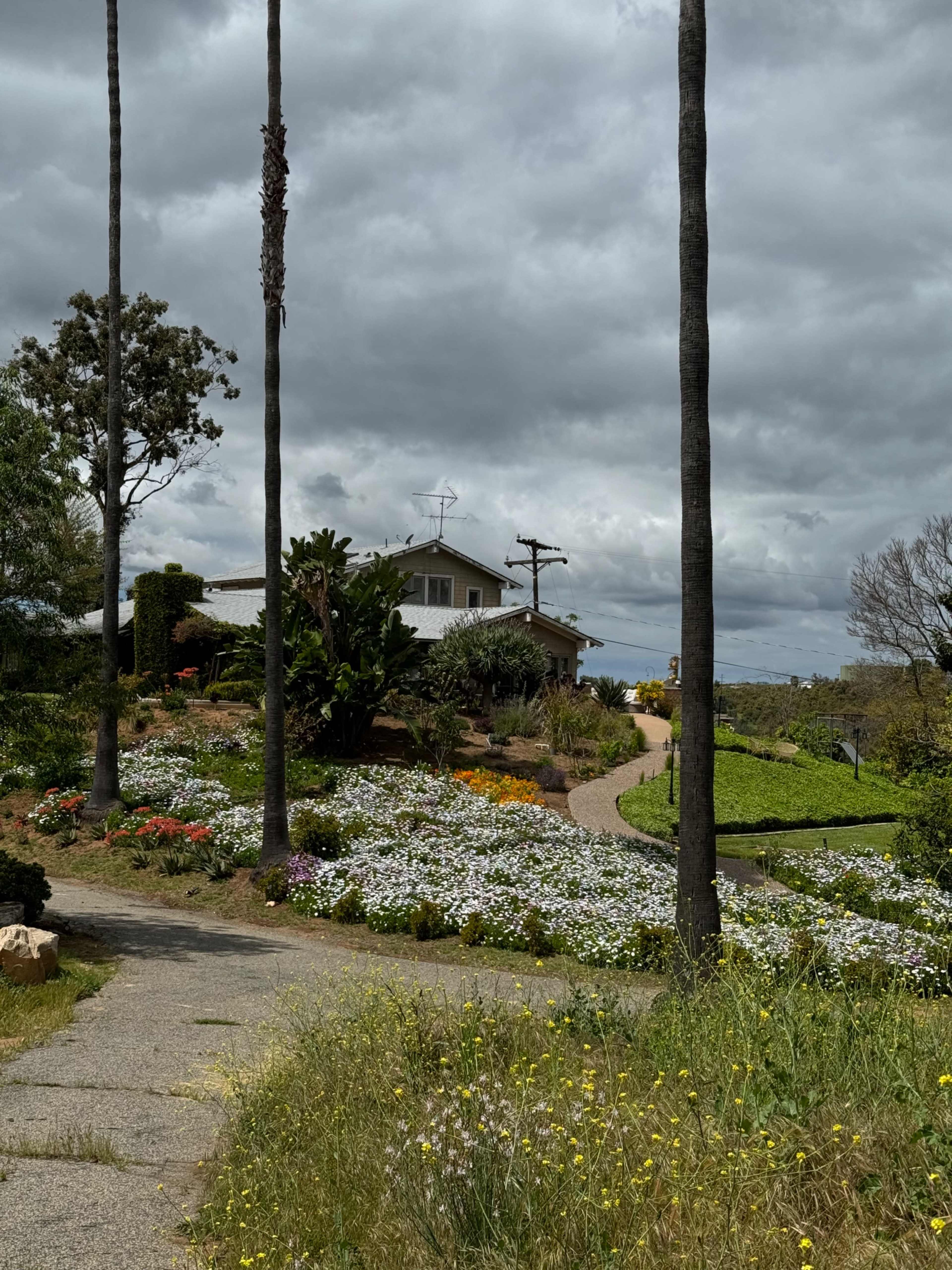 A path lined with flowering plants leads to a house situated on a hillside under a cloudy sky.