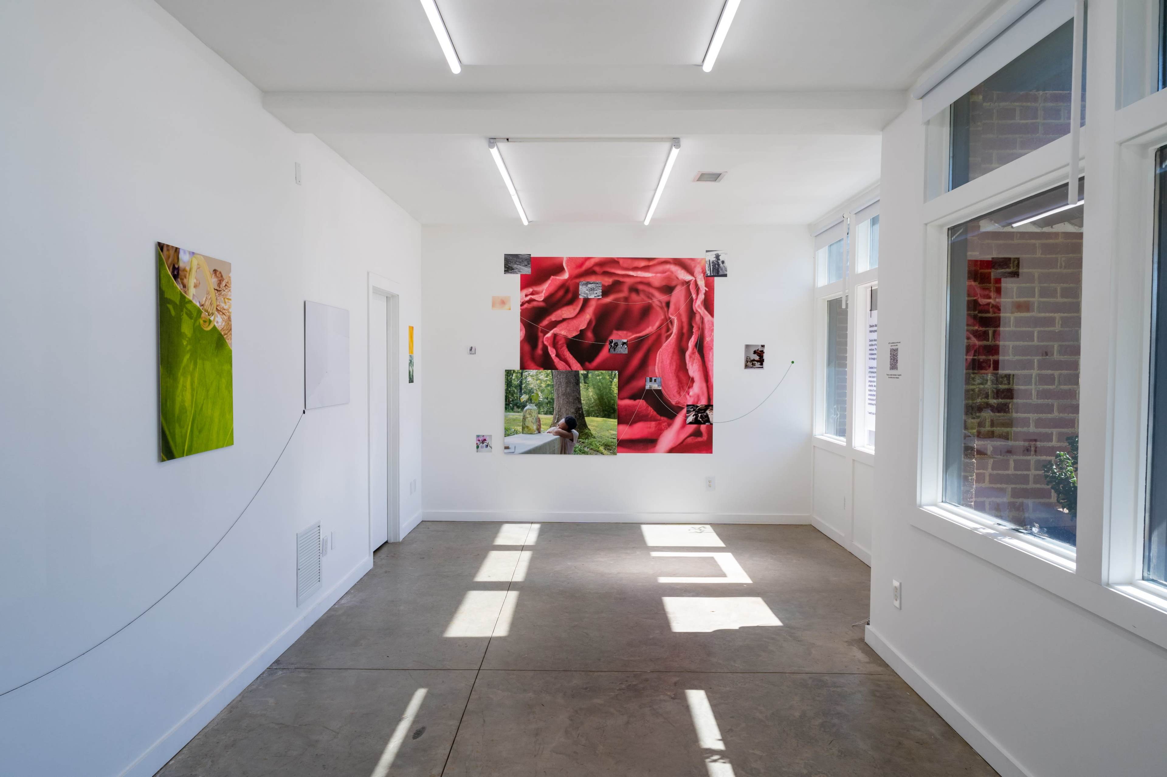 The image shows an art gallery with white walls displaying various photographs, including a large piece featuring red fabric, illuminated by natural light through large windows.