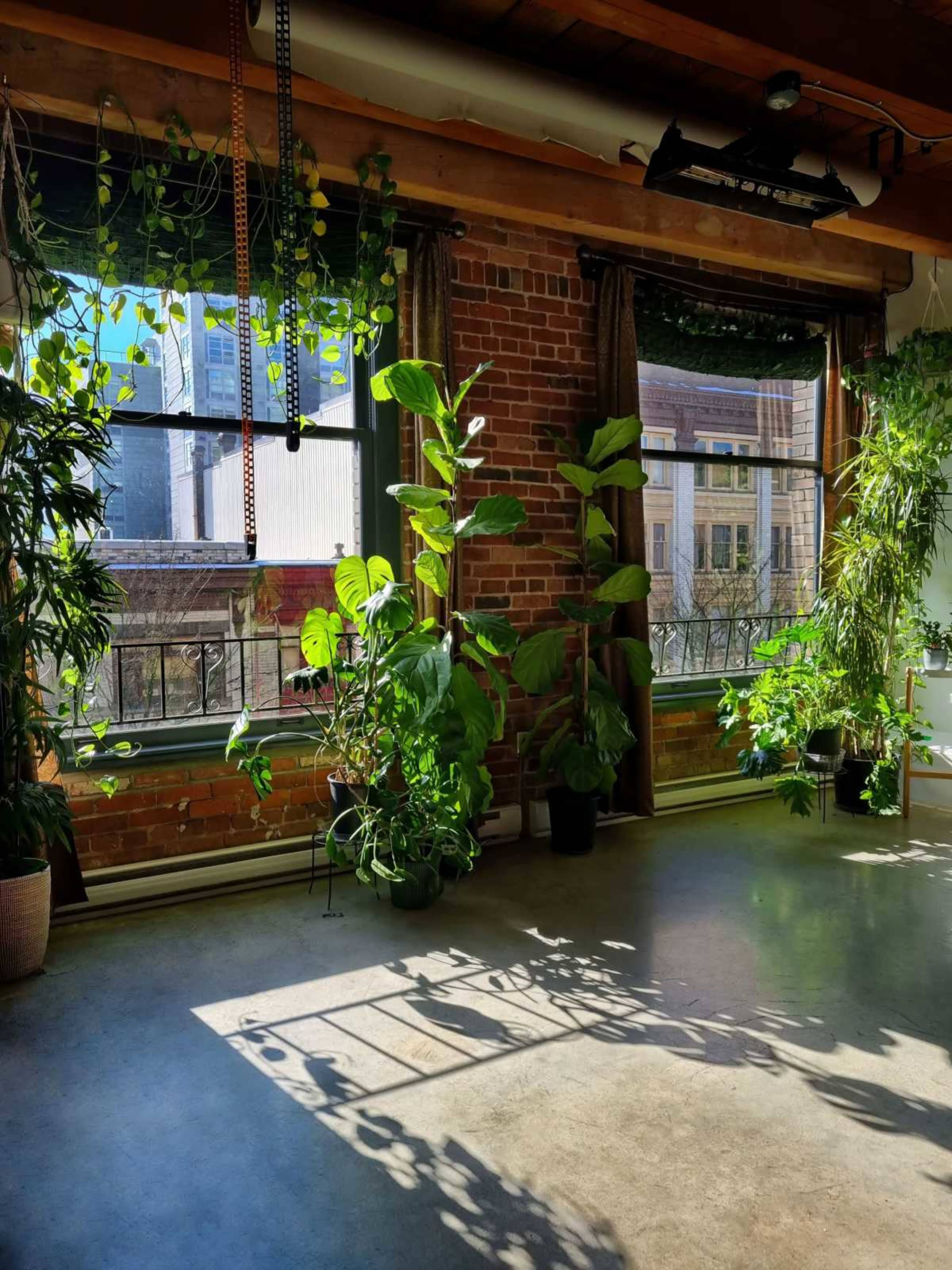 Paxkan - Bright and Modern wellness studio Image in Downtown Eastside, Vancouver, BC