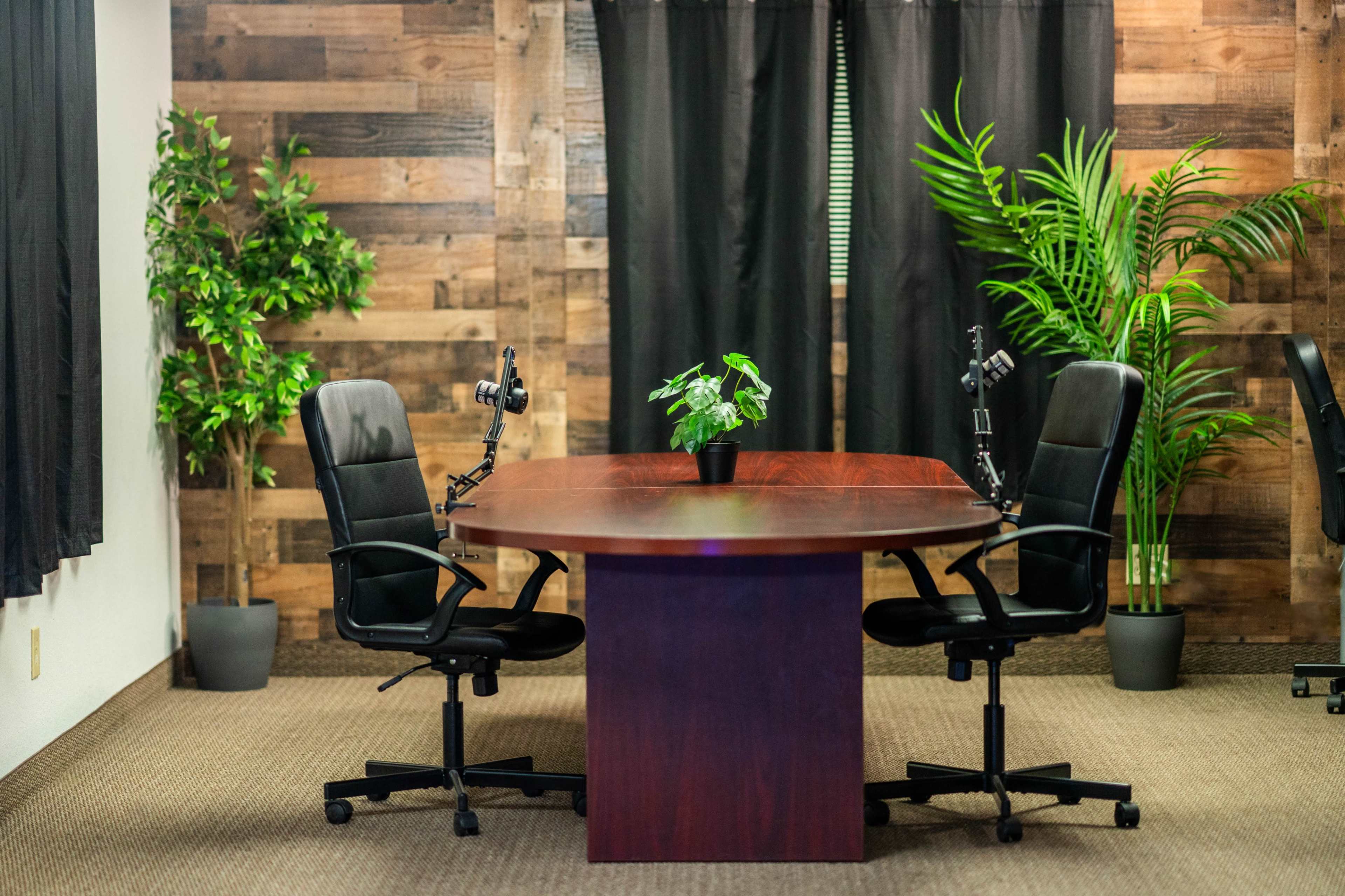A conference room features a wooden table flanked by two black chairs, with plants in pots and a wooden wall backdrop.