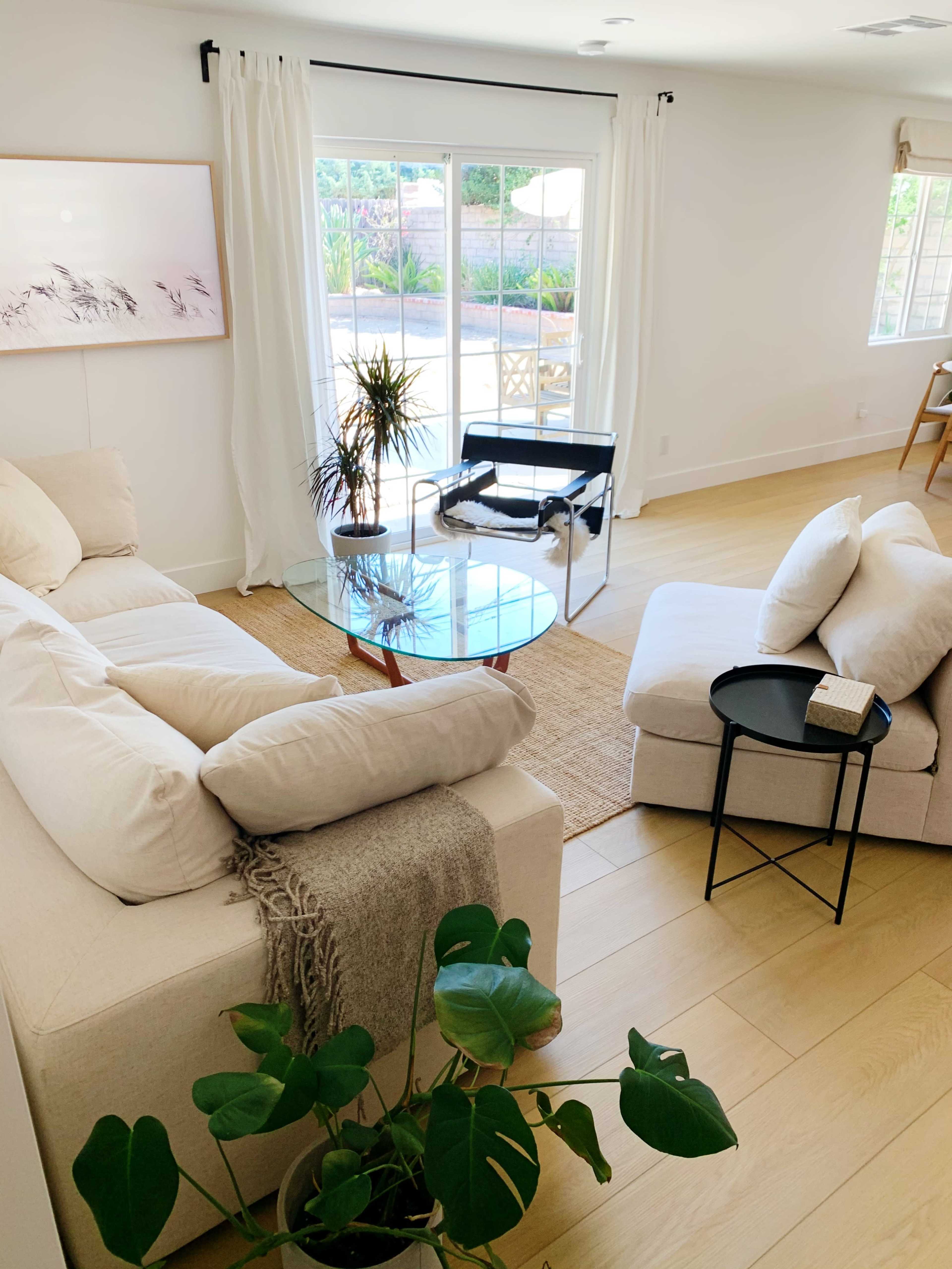 A modern living room with a light-colored sectional sofa, a glass coffee table, and a plant in the foreground, all situated near a large window with outdoor views.