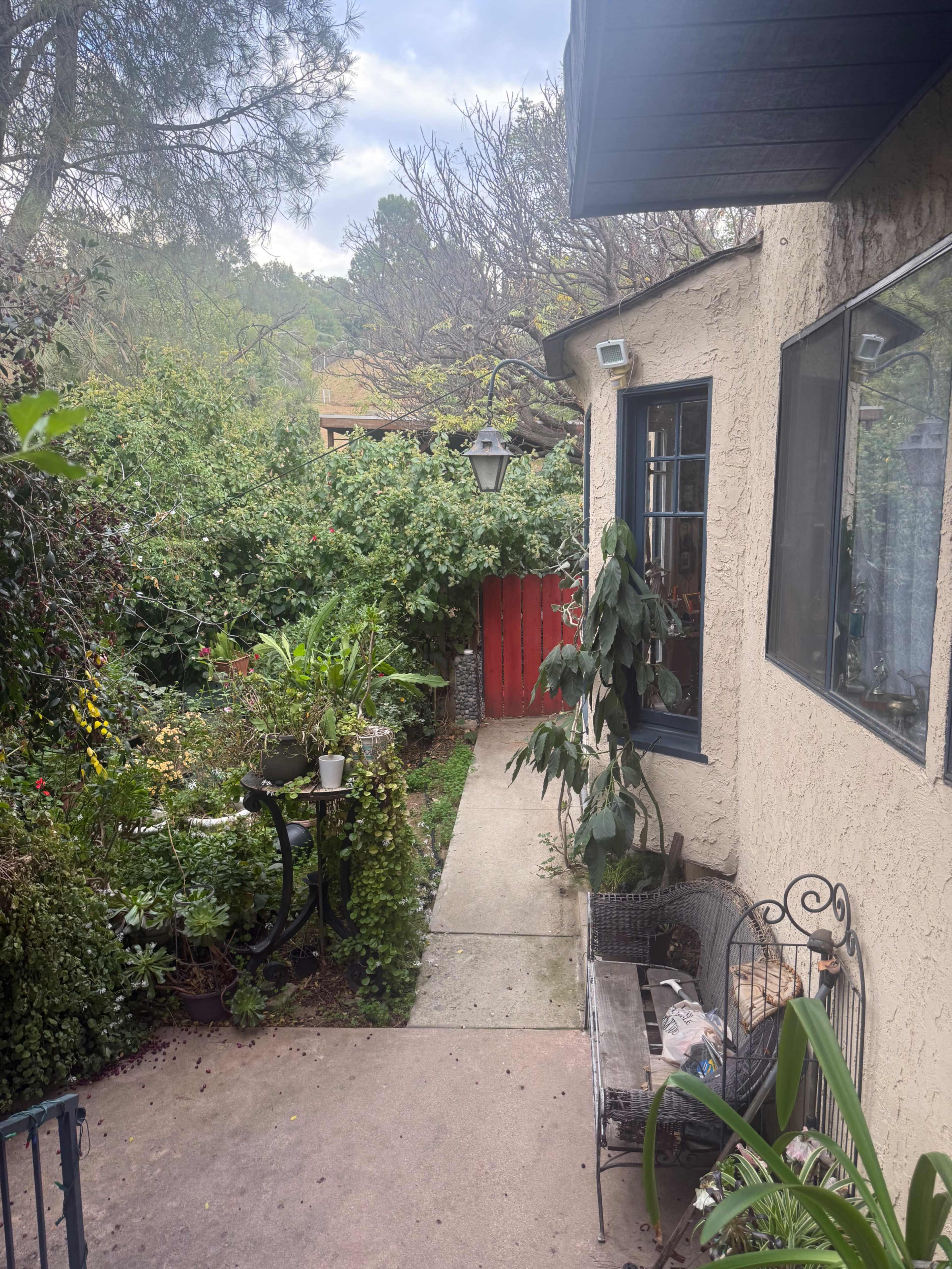 A stone pathway leads through a garden filled with various plants, flanked by a house and a red wooden gate.