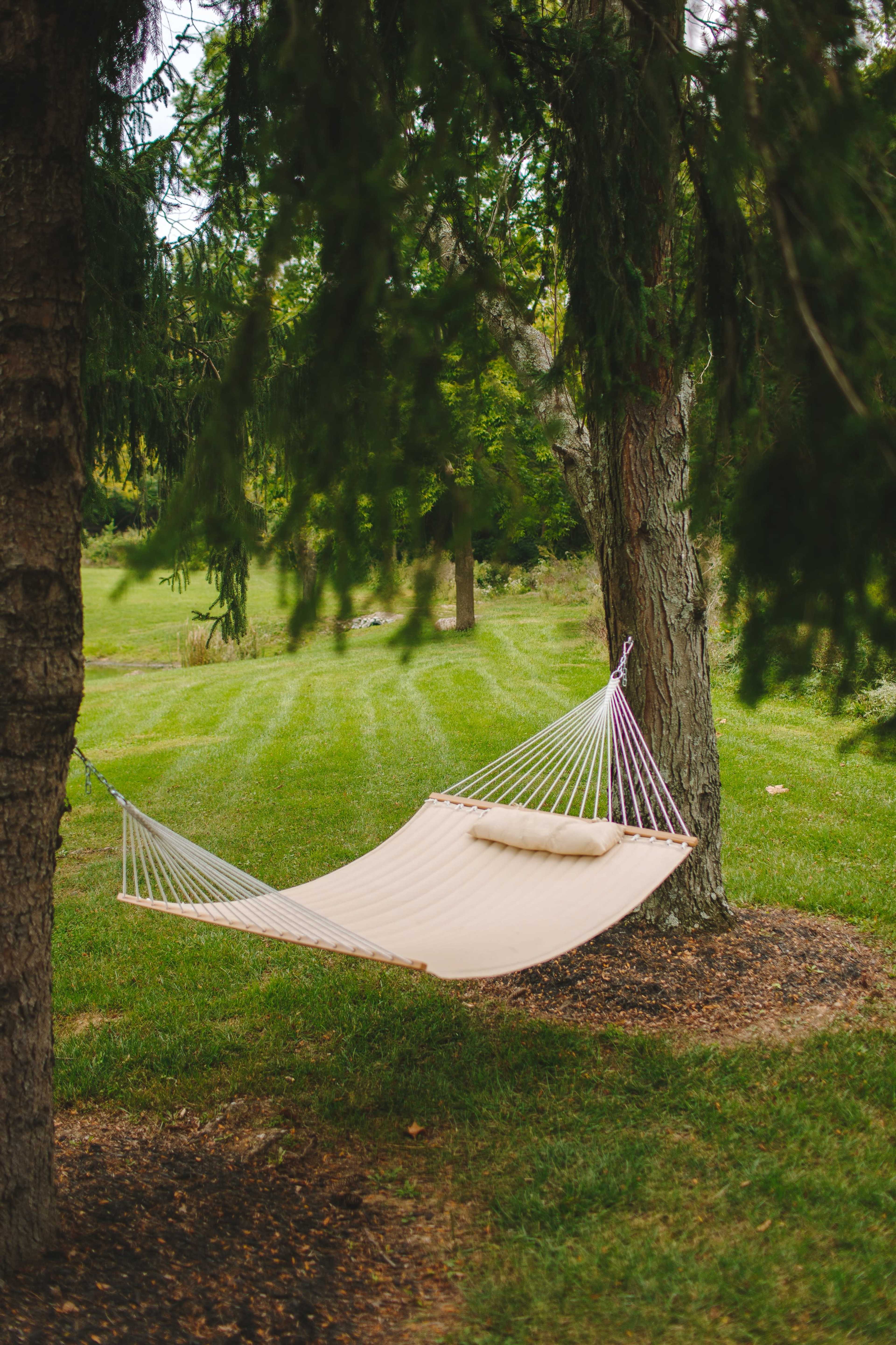 A beige hammock is suspended between two trees in a grassy area.