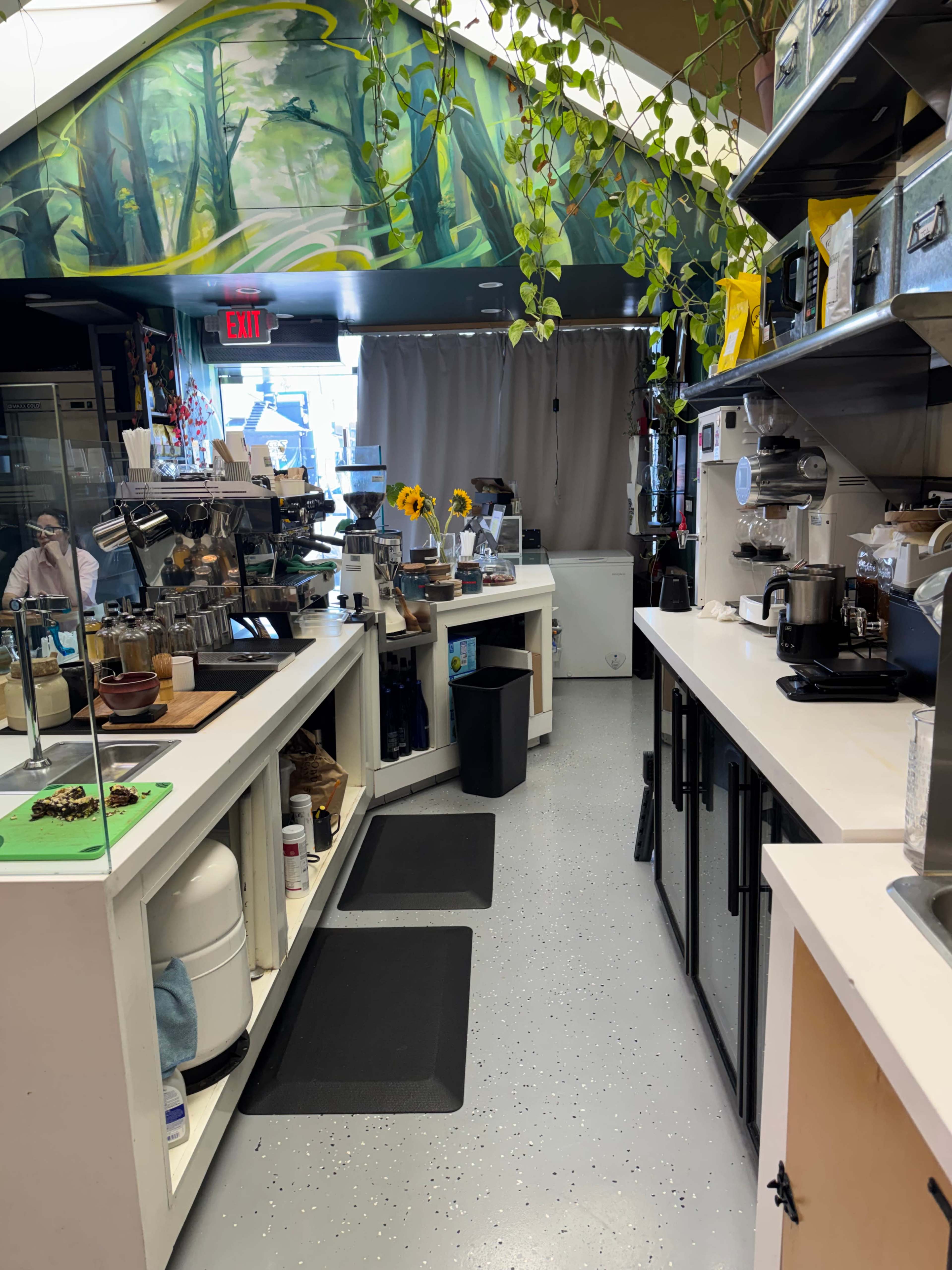 The image shows a coffee shop interior with two counter areas, equipment for brewing, and a mural of trees on the ceiling.