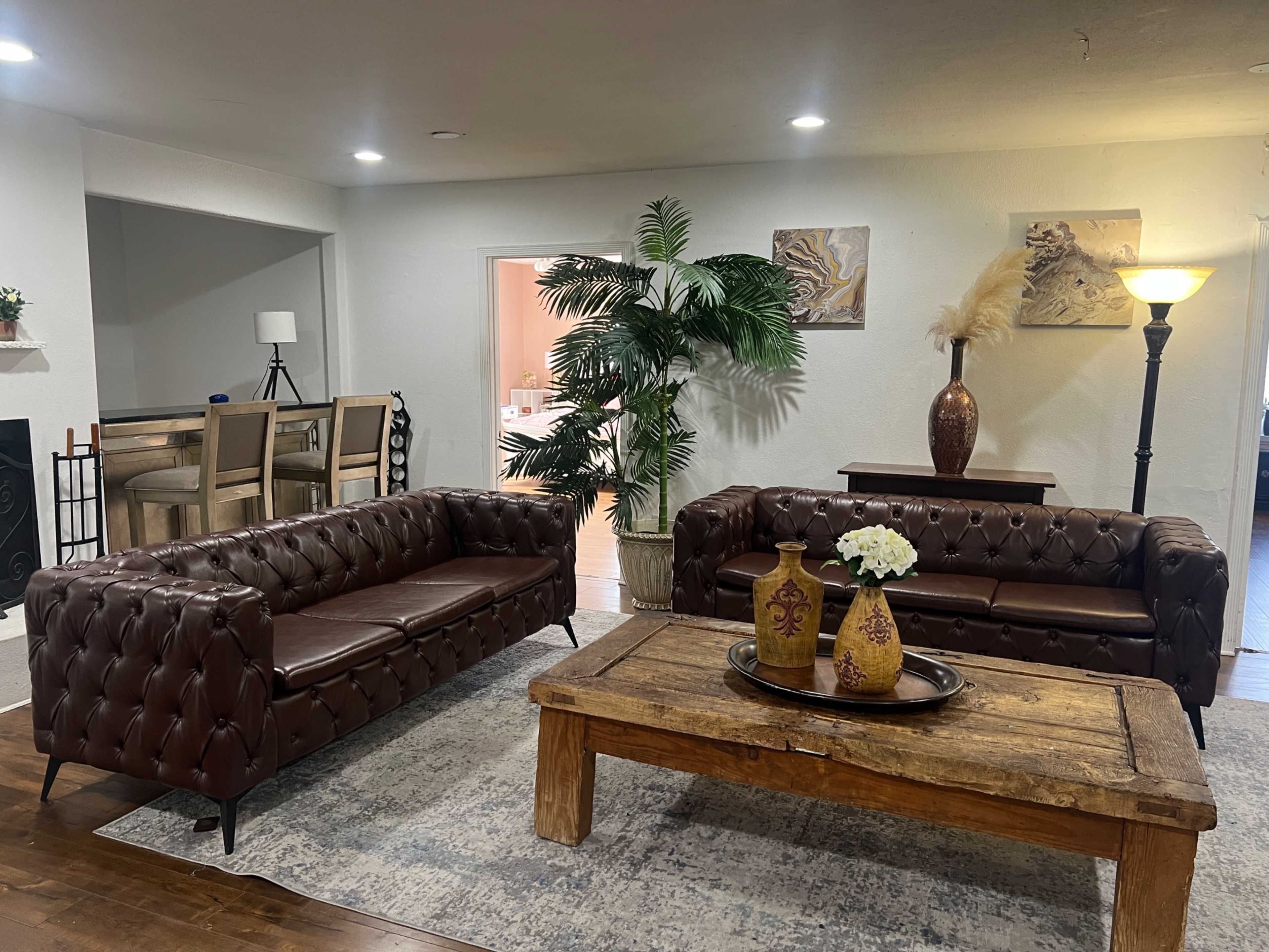 The image shows a living room with two brown leather tufted sofas facing a wooden coffee table, flanked by a large green plant and a floor lamp.