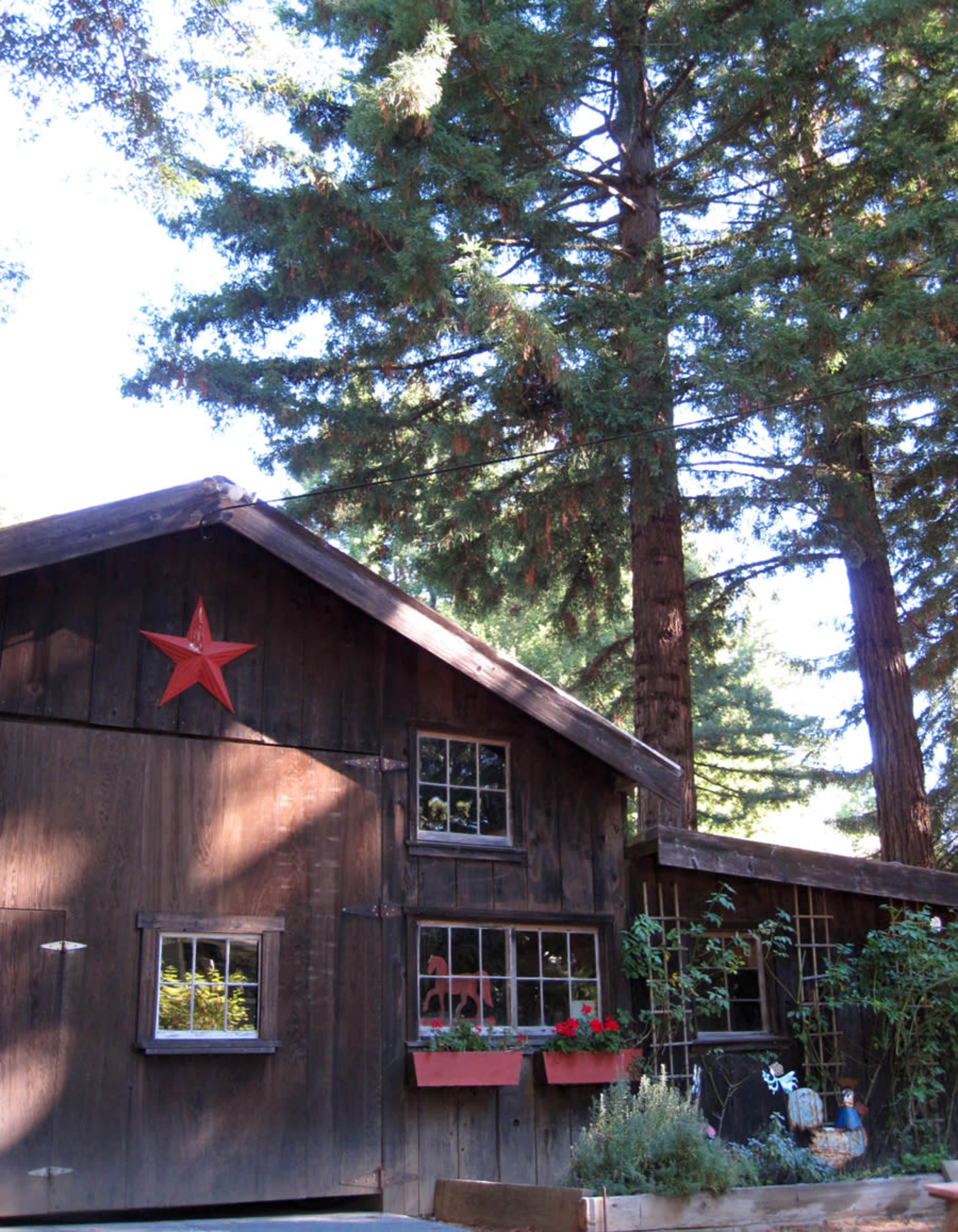 A wooden cabin with a red star decoration and flower boxes is set against tall pine trees.
