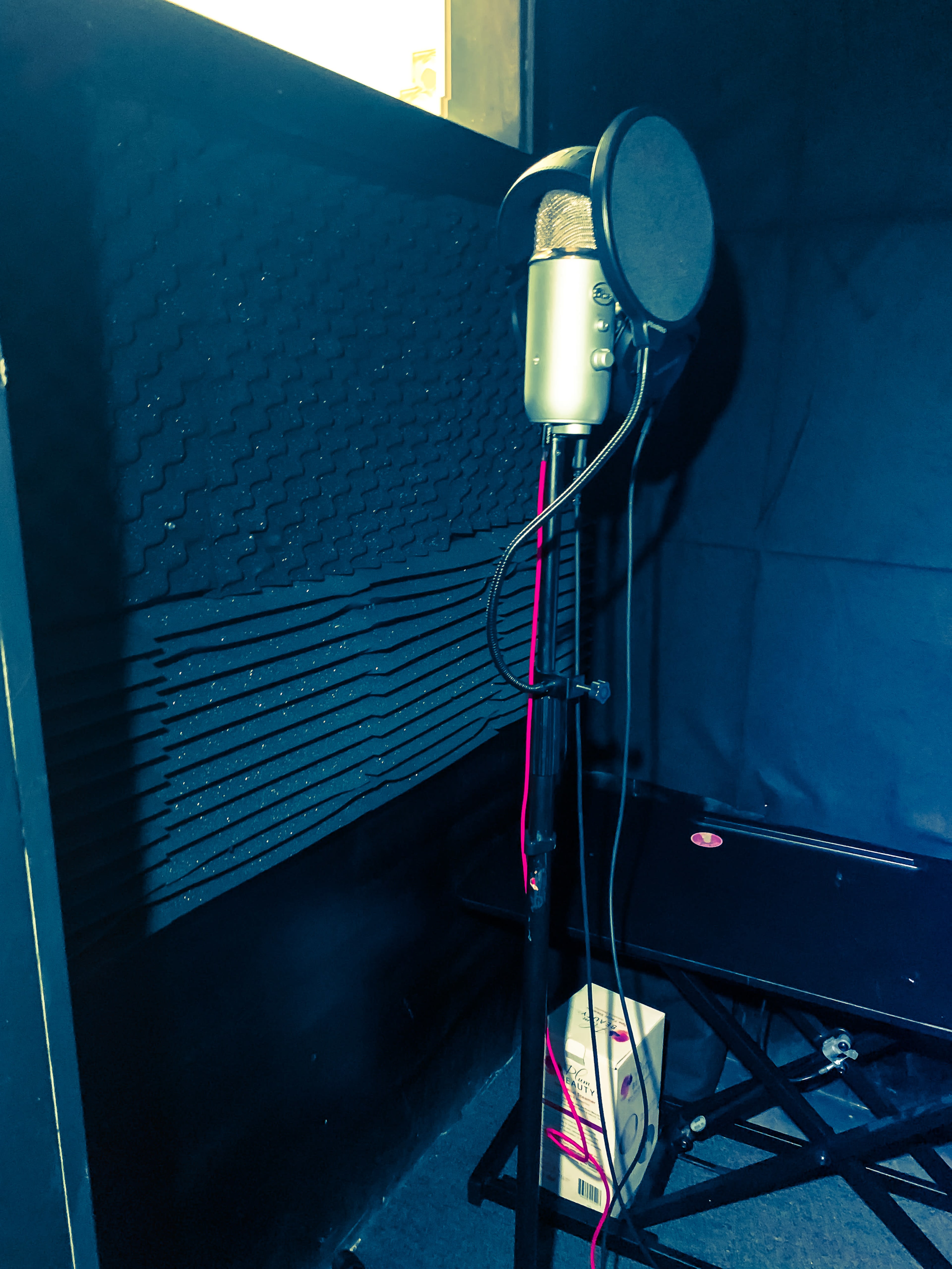 The image shows a microphone on a stand inside a soundproof booth with a dark backdrop and acoustic panels.