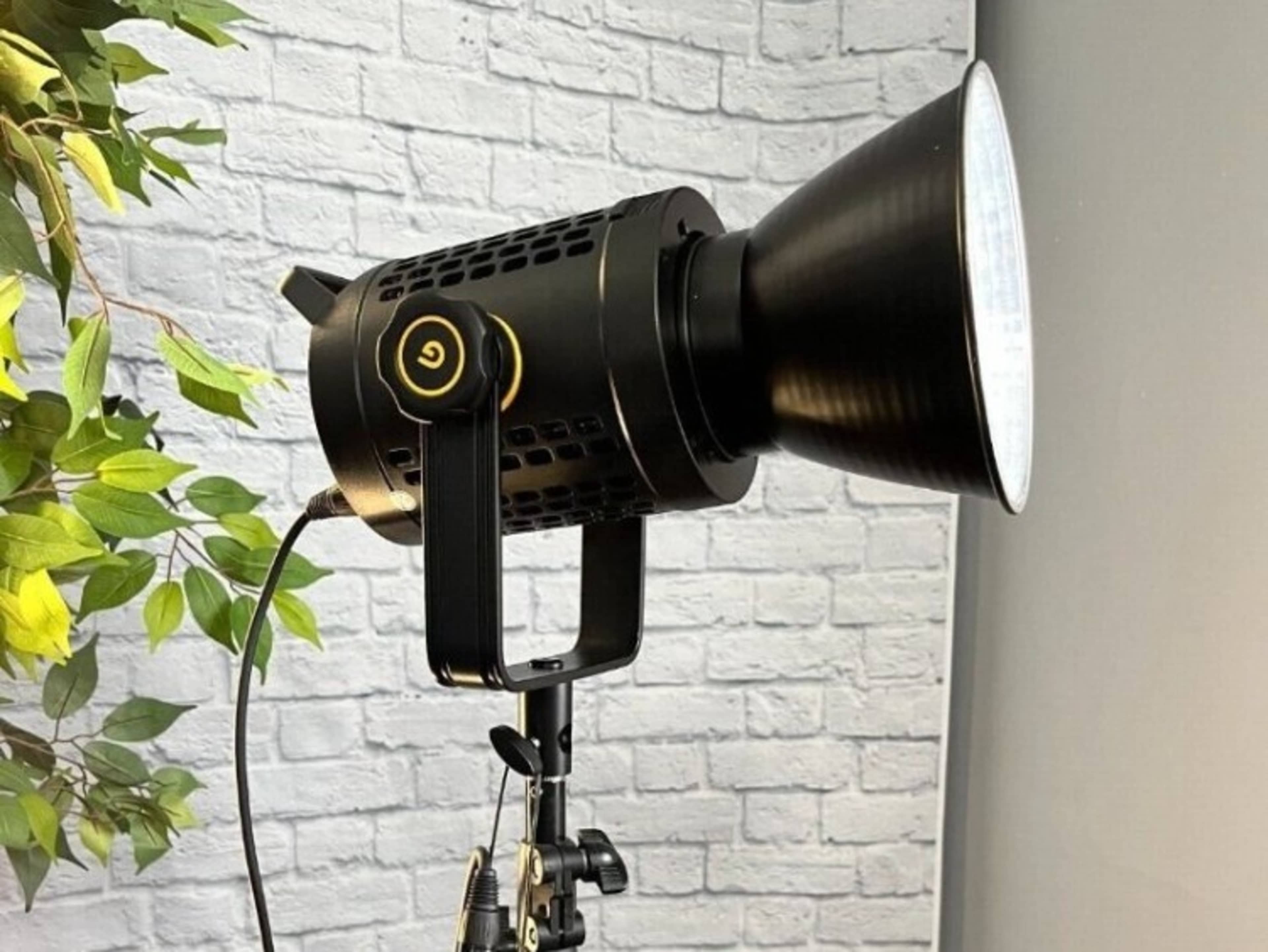 Continuous Light w/ Softbox