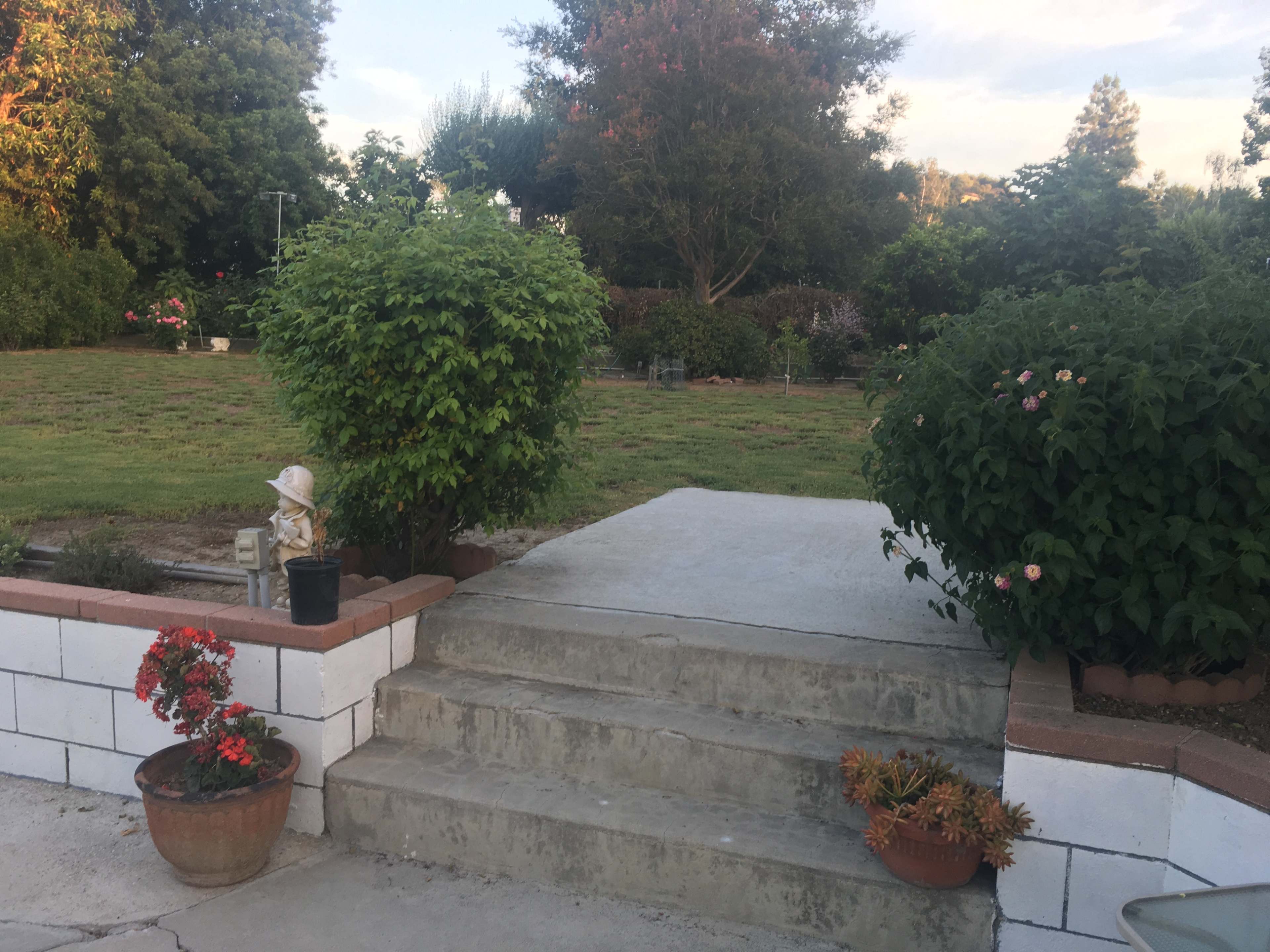 The image shows a concrete patio with steps leading up to a grassy area bordered by shrubs and trees.