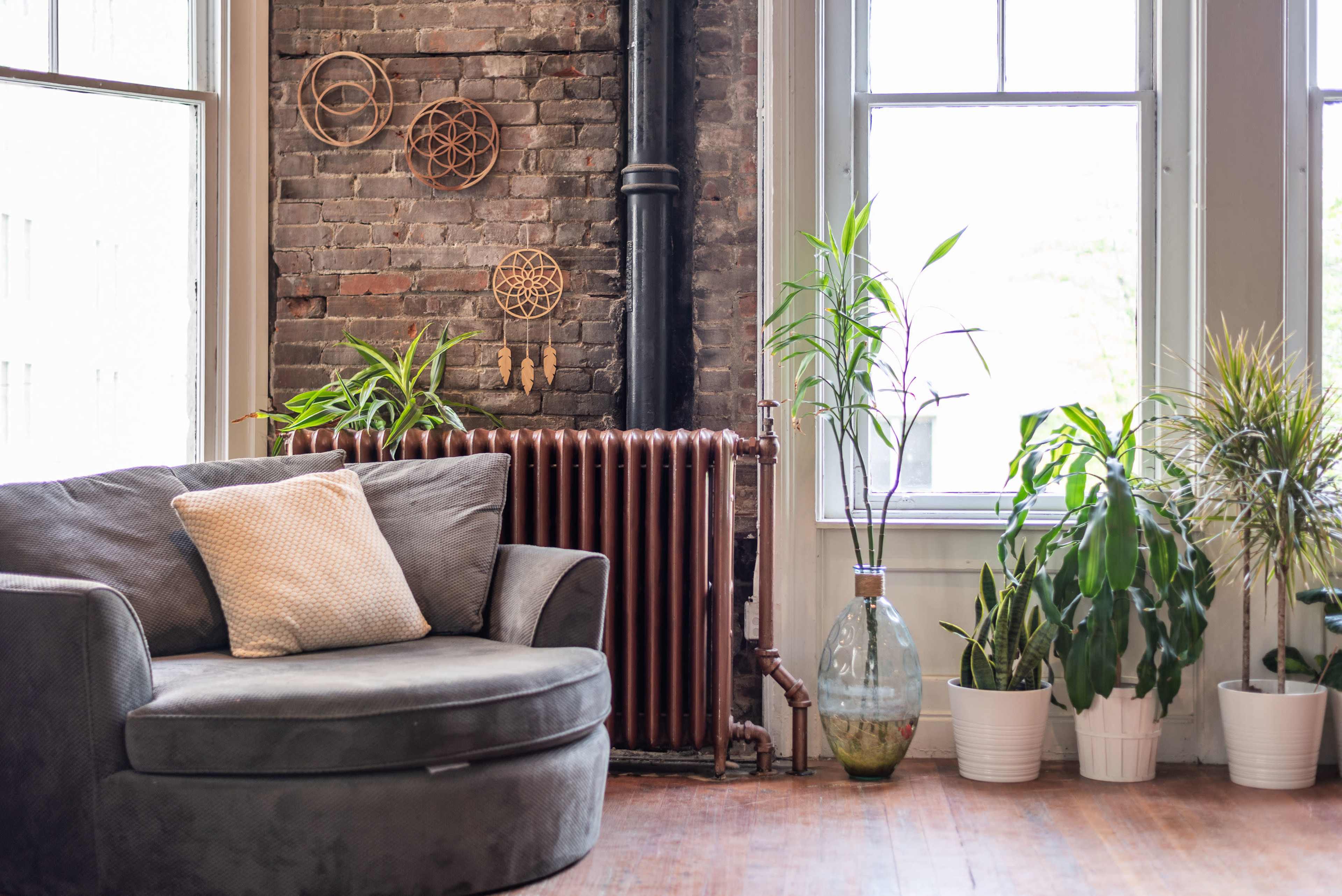 The scene features a modern living space with a large, round gray sofa, a radiator, and various potted plants beside large windows.