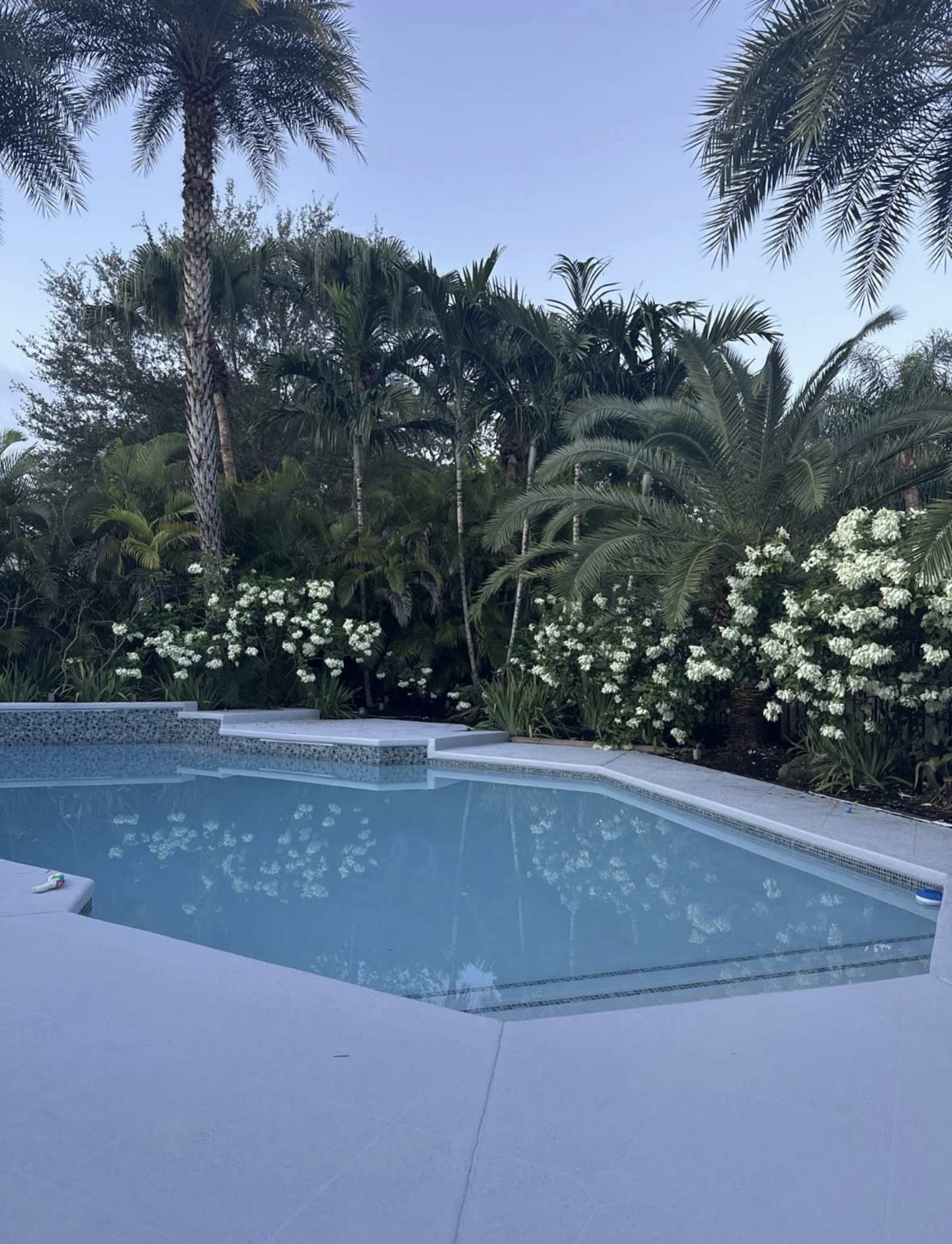 Backyard Oasis with Cabana and Outdoor Kitchen Image in West End, Miami, FL