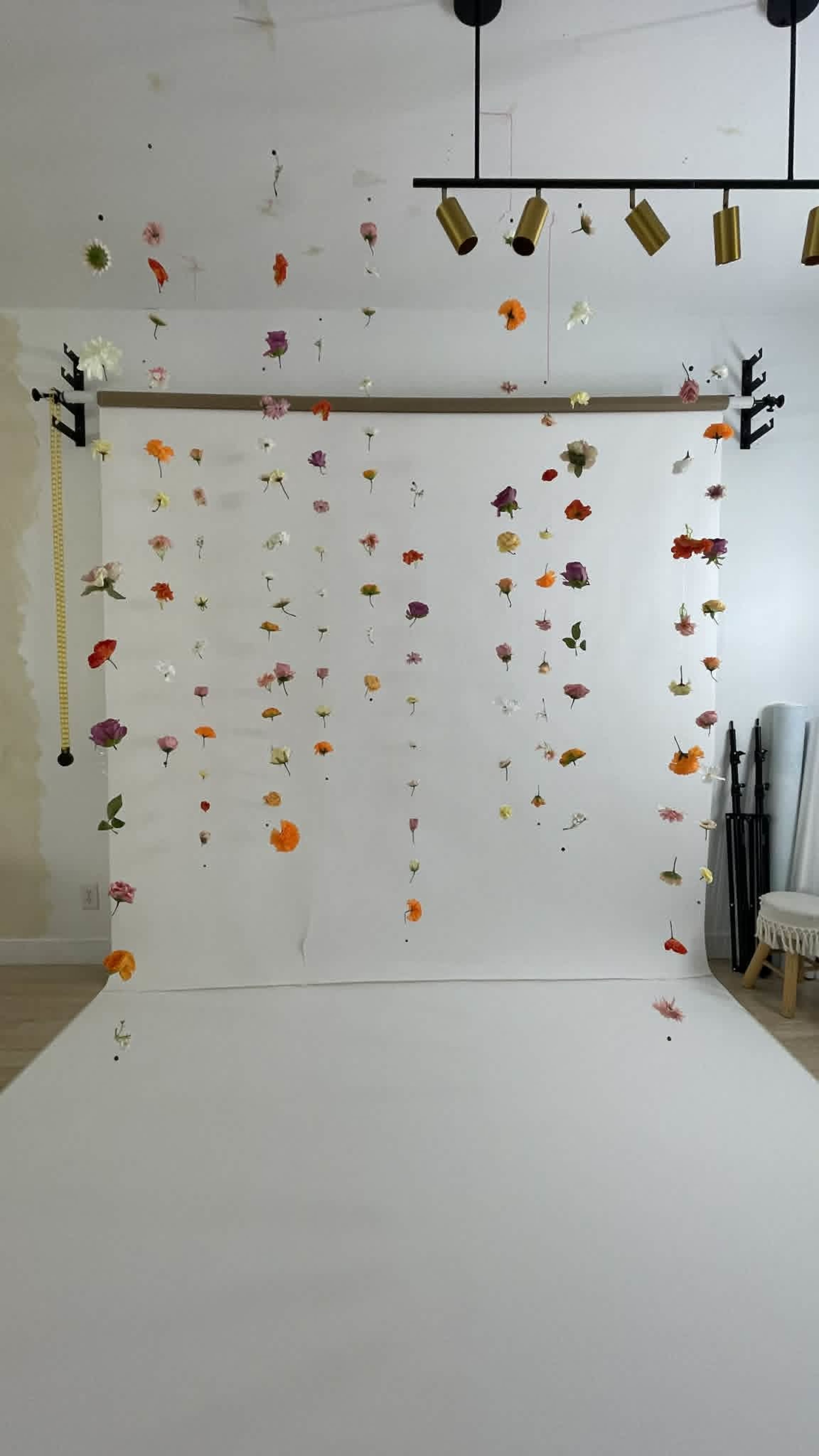 The image features a photography backdrop with a series of flowers suspended from a horizontal rod, creating a decorative display against a white background.