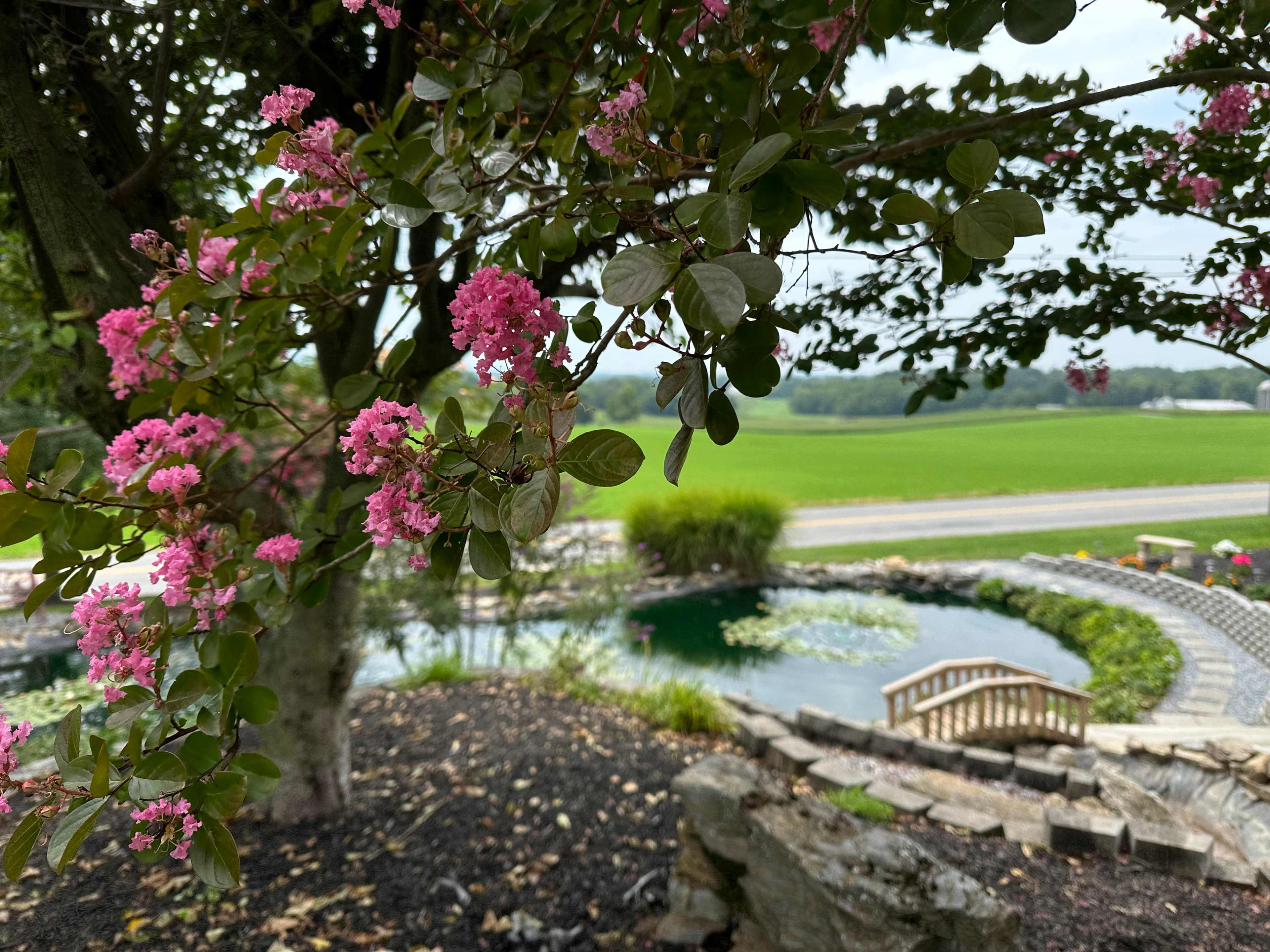 Beautiful Mansion In The Country Image in Washington Township, Waynesboro, PA
