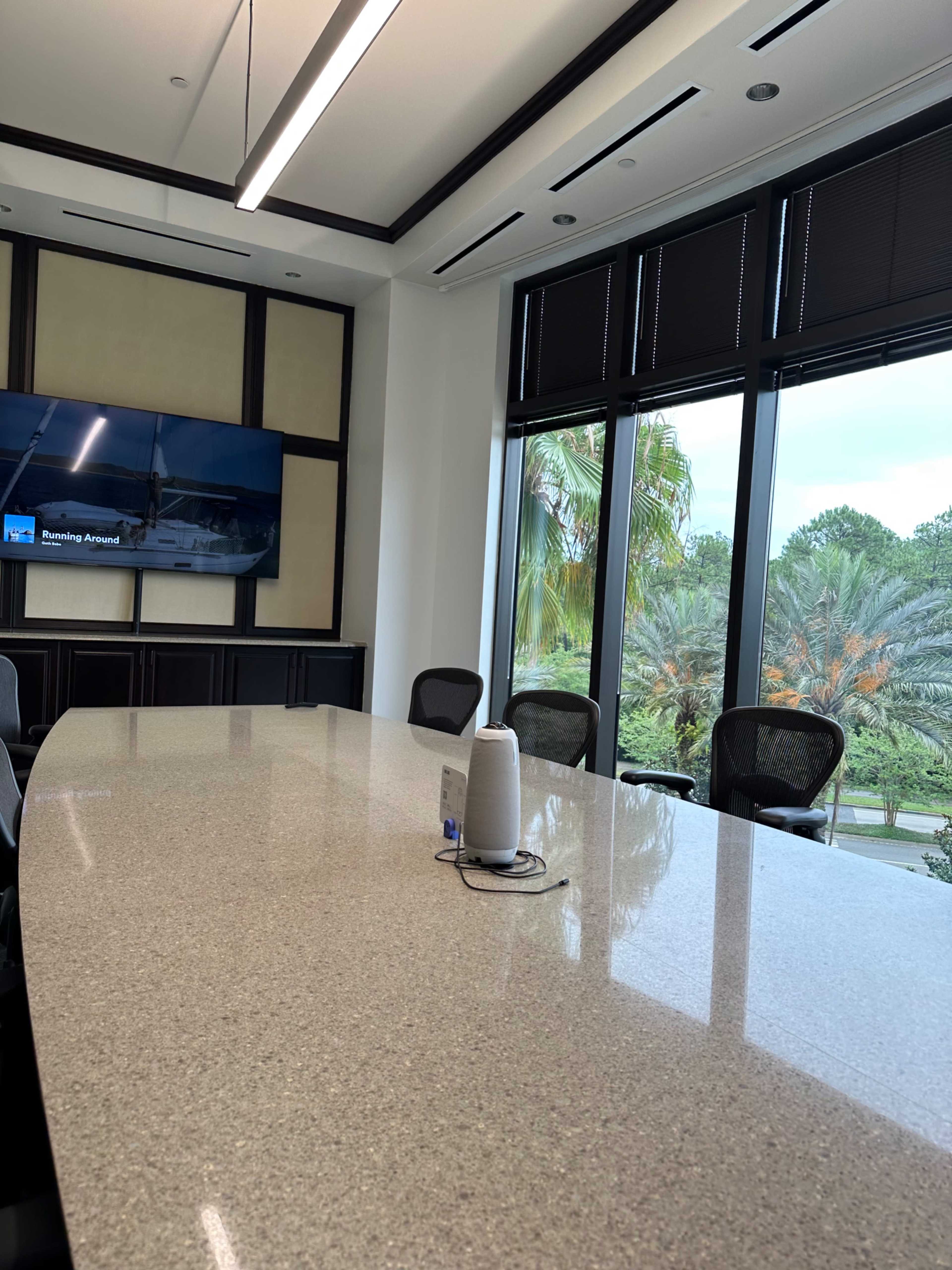 A large conference room features a long, polished table surrounded by ergonomic chairs, with a TV mounted on the wall and large windows showcasing palm trees outside.