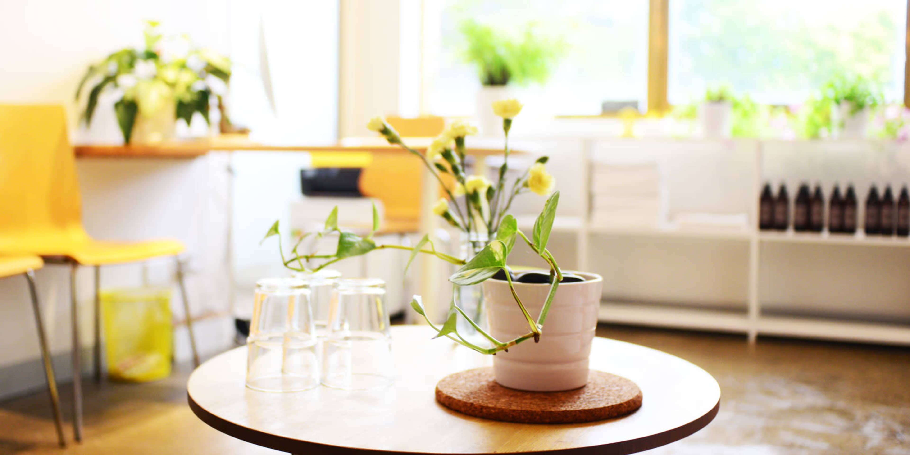 A potted plant sits on a wooden table with two clear glasses beside it in a bright, minimalist room.