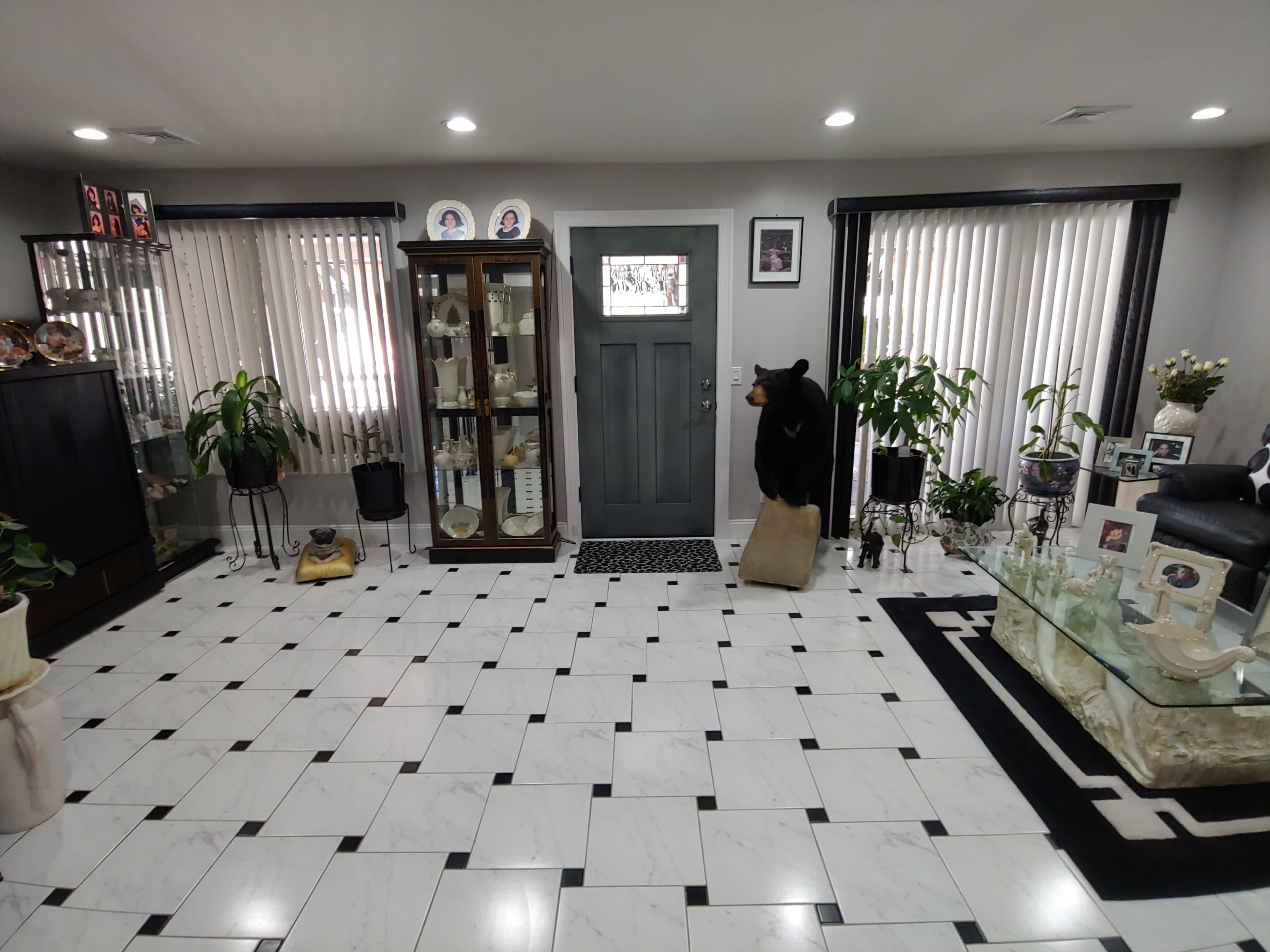 The image shows a well-lit interior space with a tiled floor, featuring a glass display cabinet filled with items, various houseplants, a door with a window, and a bear statue near the entrance.
