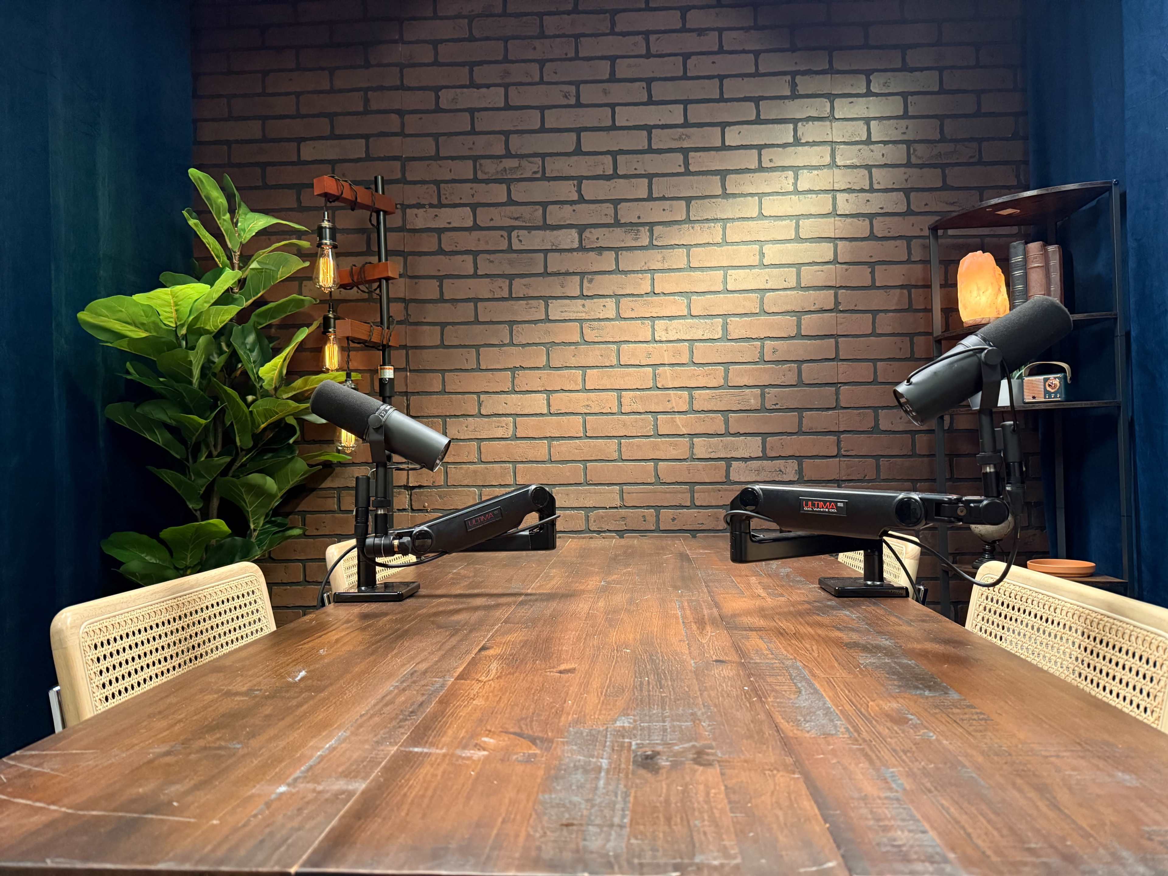 The image shows a podcast recording studio with a wooden table, two microphones, a plant, and a brick wall backdrop.