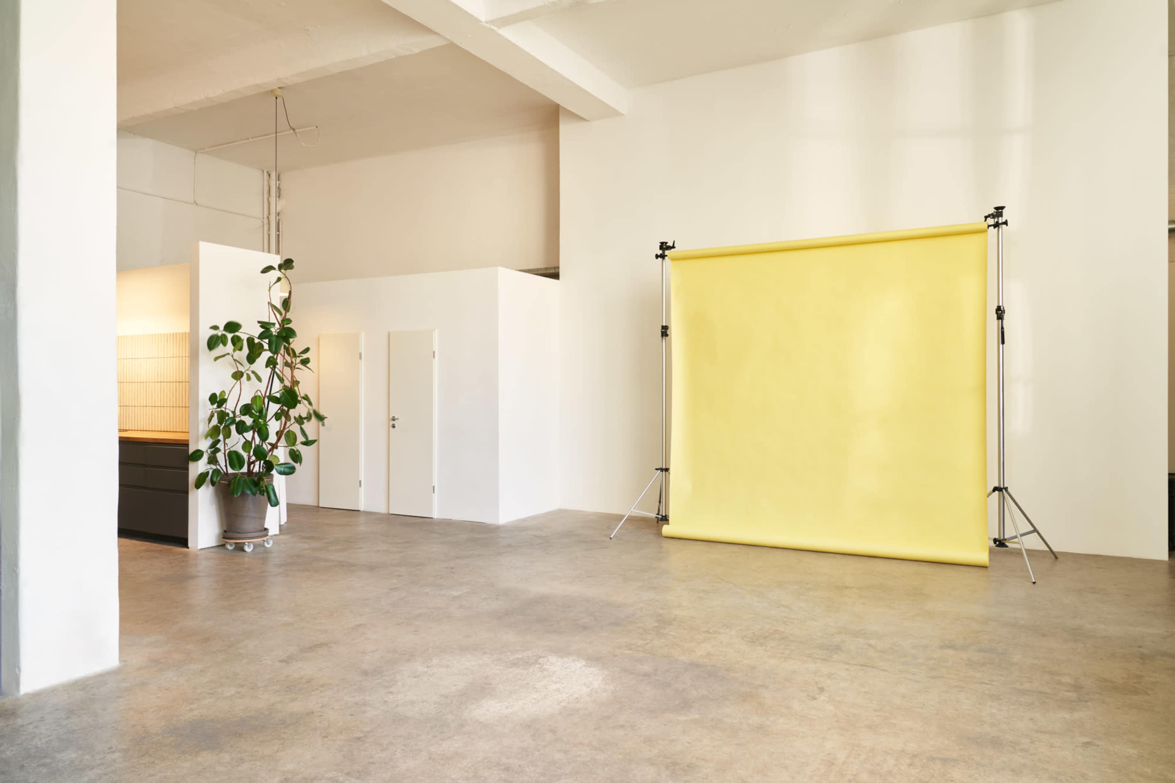 The image shows a minimalist studio space featuring a yellow backdrop on a stand and a potted plant in the corner.