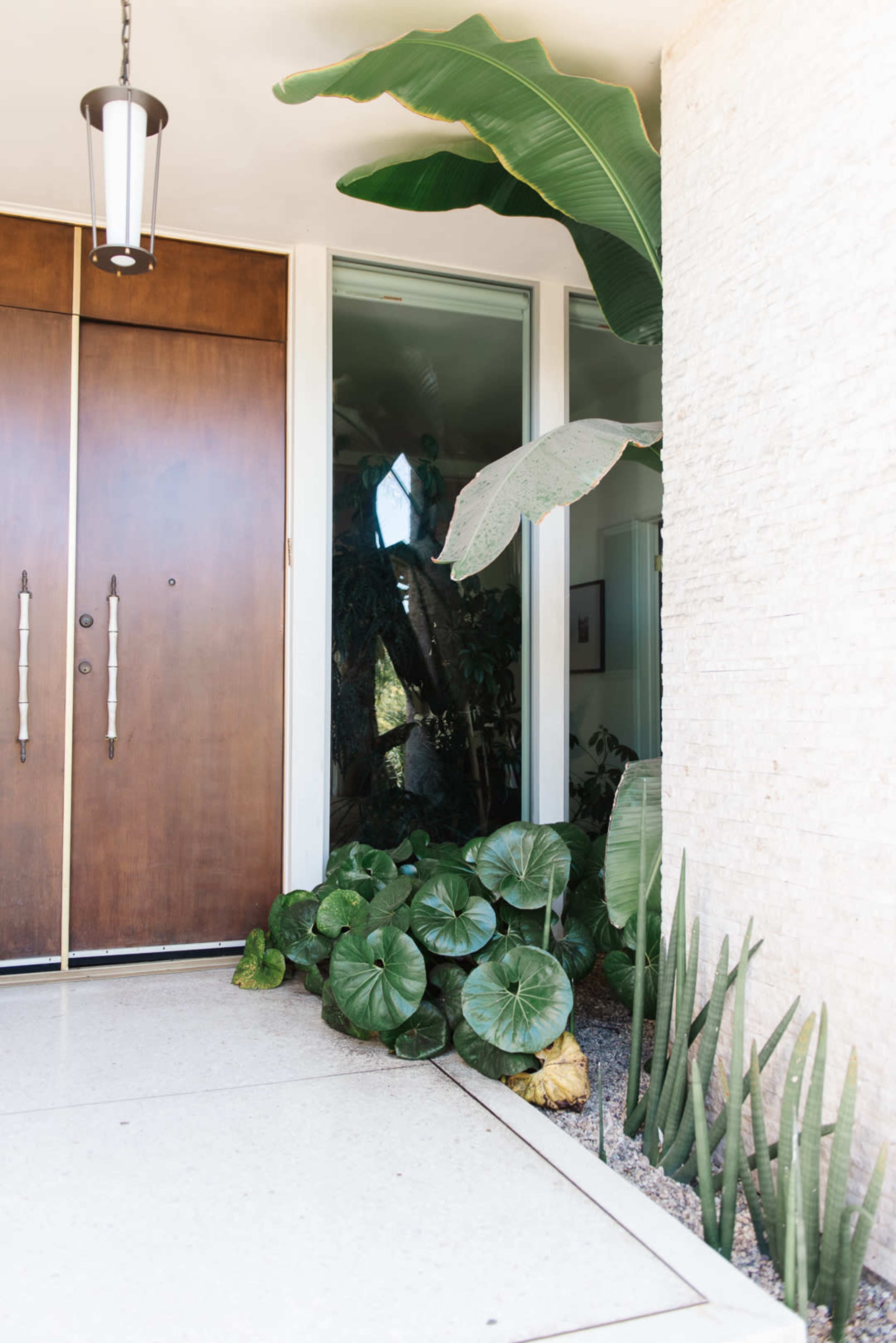 A modern entrance with double wooden doors, surrounded by lush green plants and a light-colored stone wall.