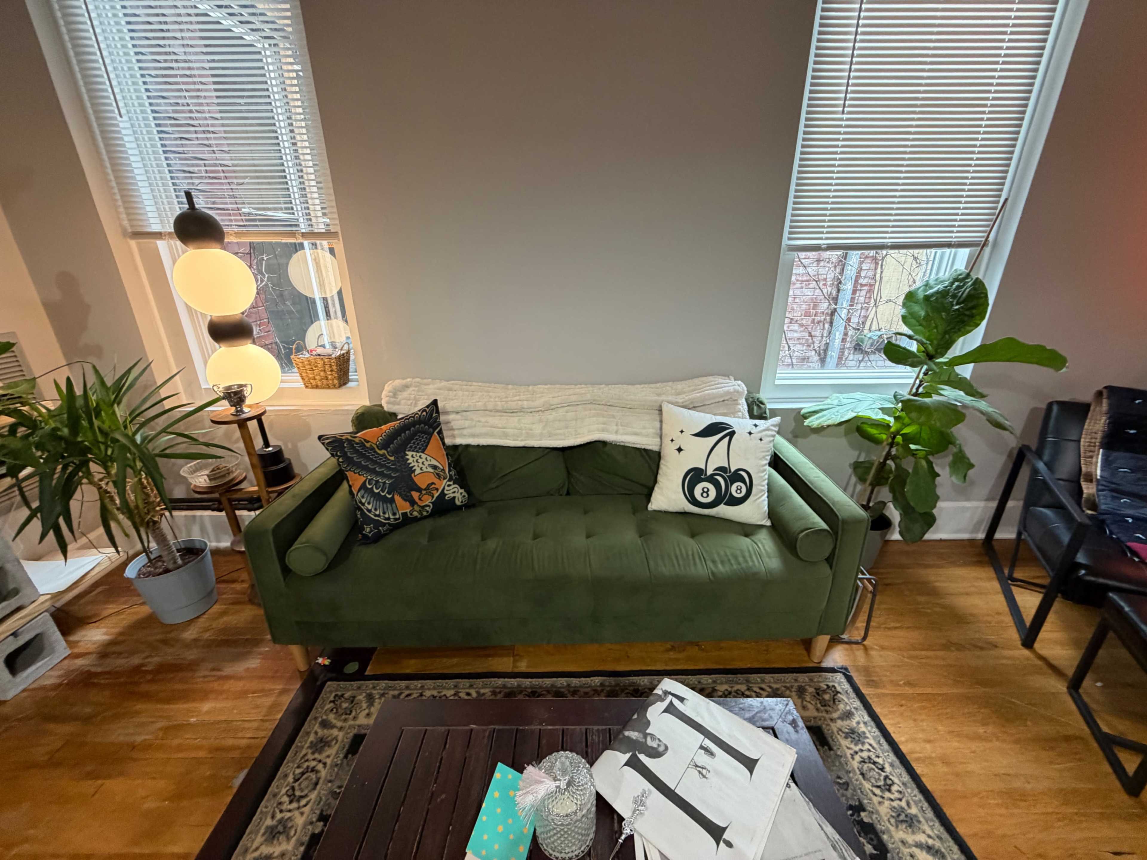 The image shows a green sofa adorned with decorative pillows, positioned in a living room featuring plants, a coffee table with scattered items, and large windows allowing natural light.